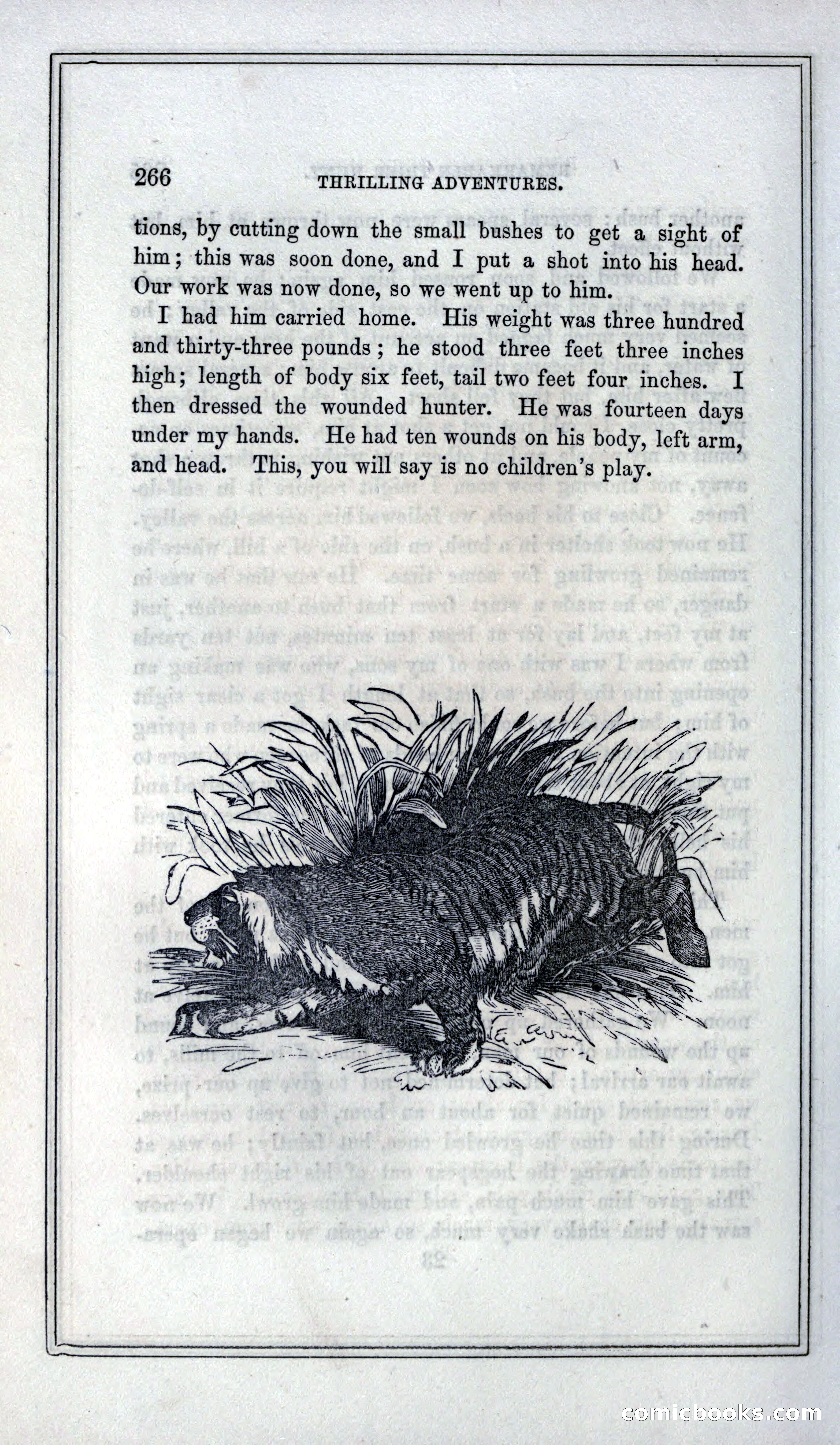 Thrilling Adventures of Hunters, in the Old World and the New — page 282 of 399