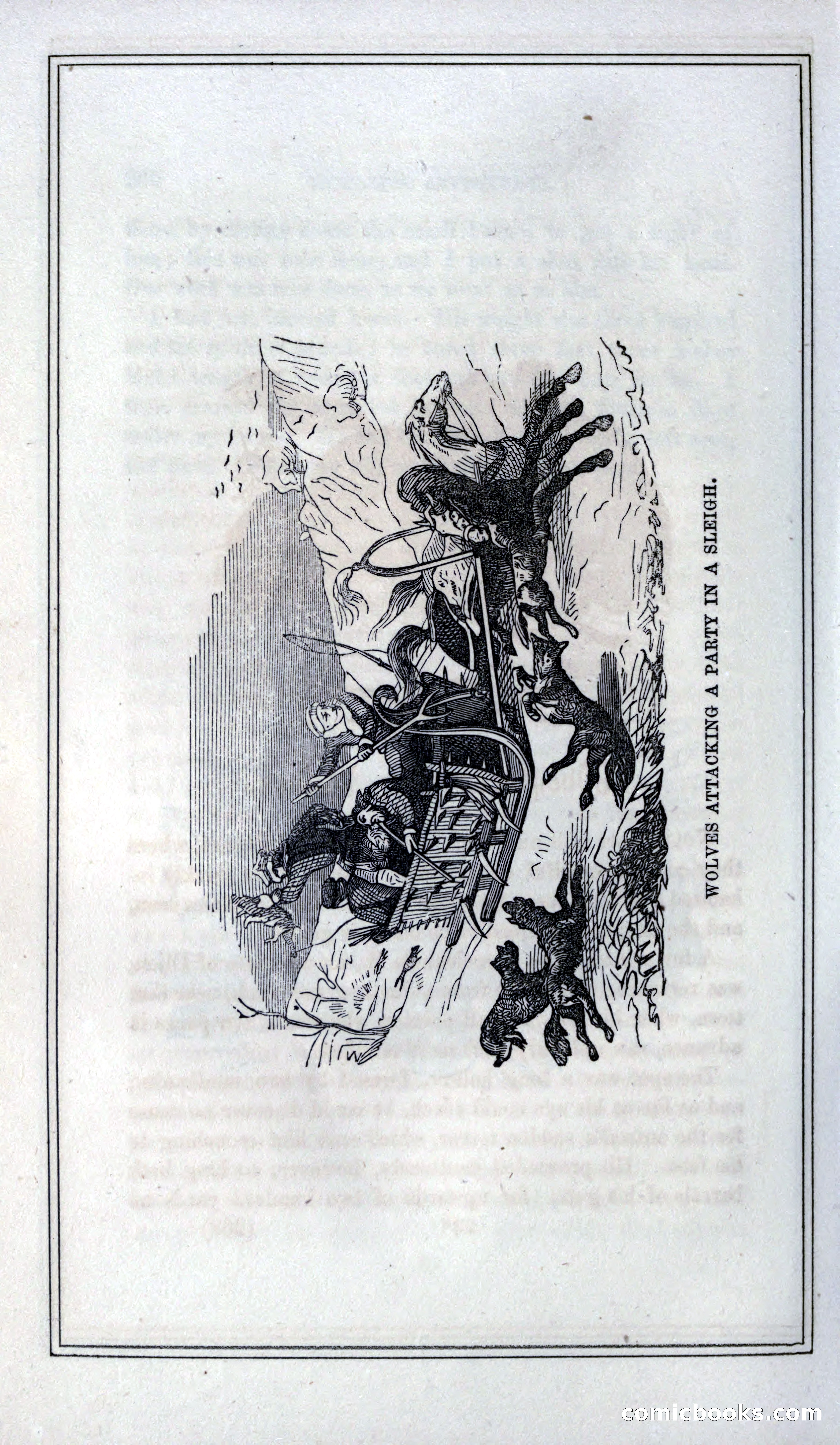 Thrilling Adventures of Hunters, in the Old World and the New — page 284 of 399