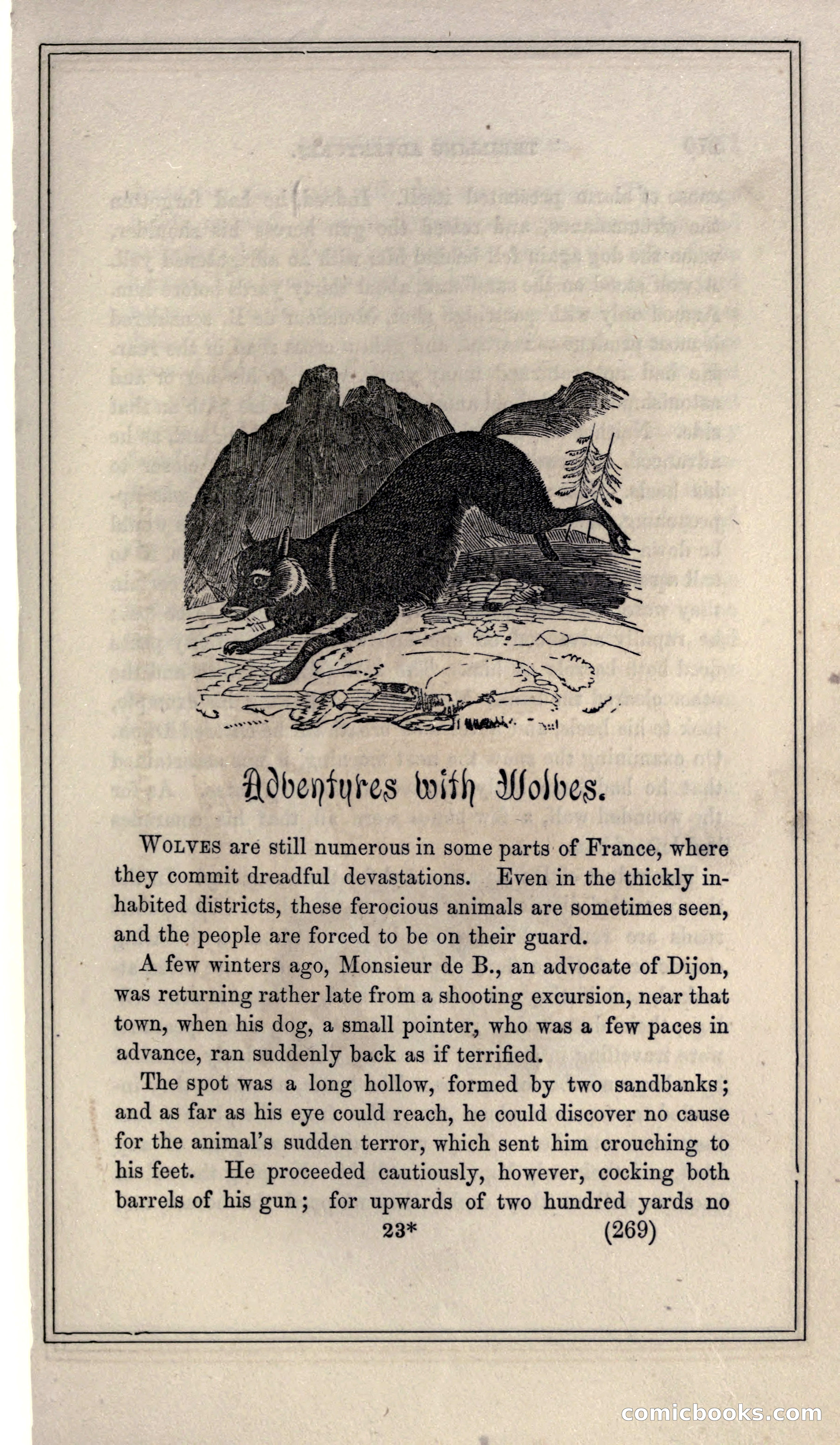 Thrilling Adventures of Hunters, in the Old World and the New — page 285 of 399