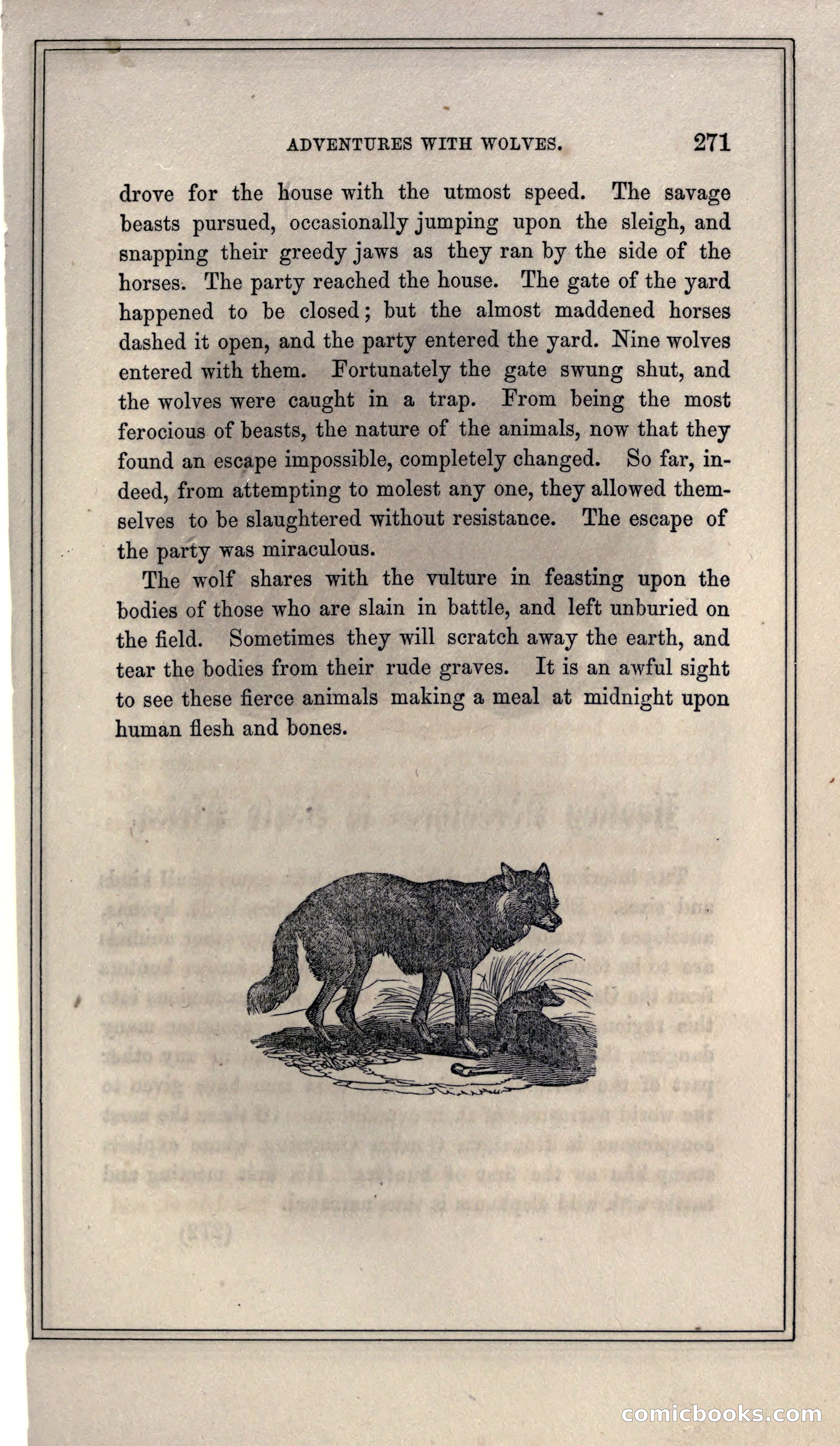 Thrilling Adventures of Hunters, in the Old World and the New — page 287 of 399