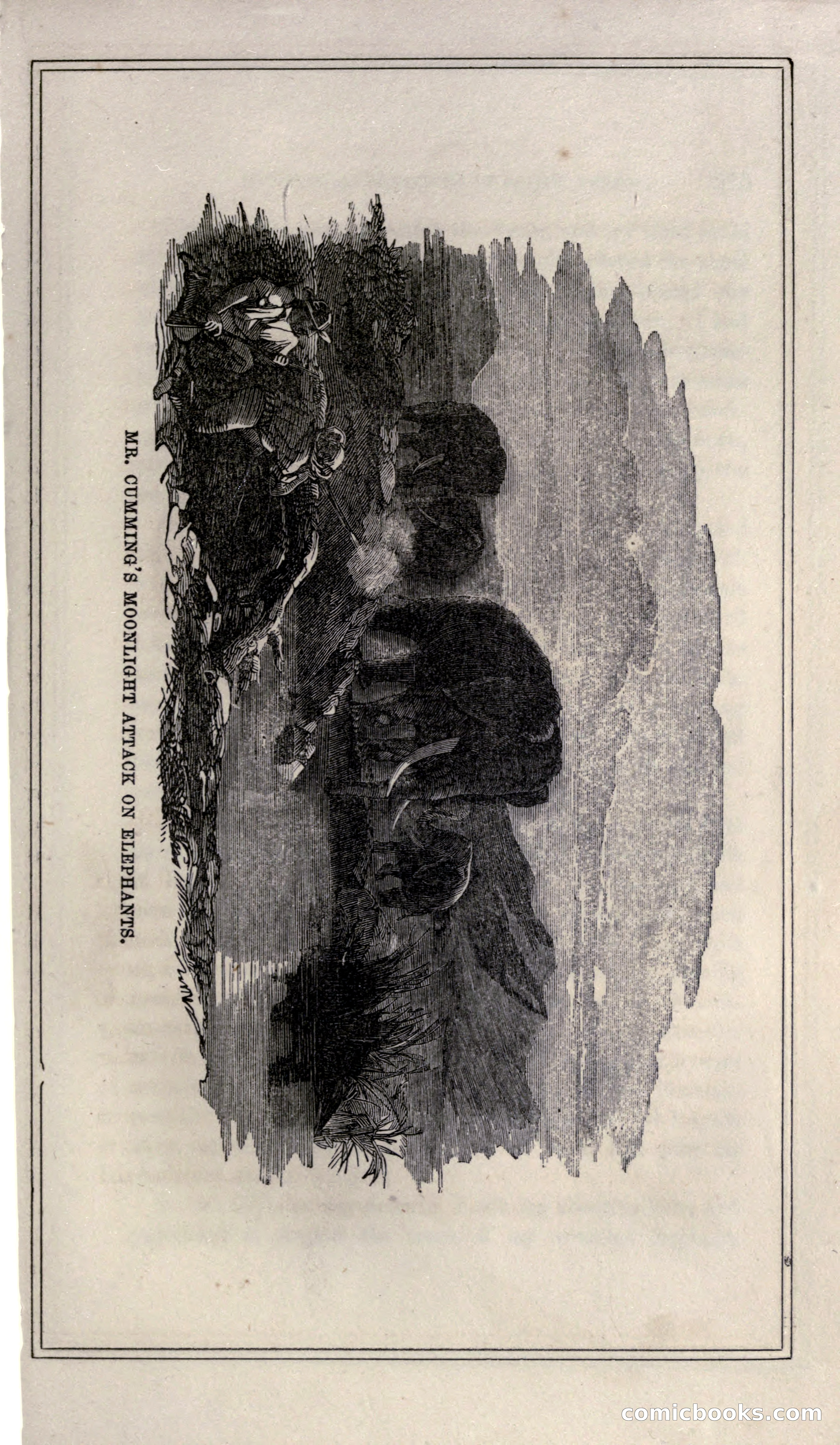 Thrilling Adventures of Hunters, in the Old World and the New — page 289 of 399