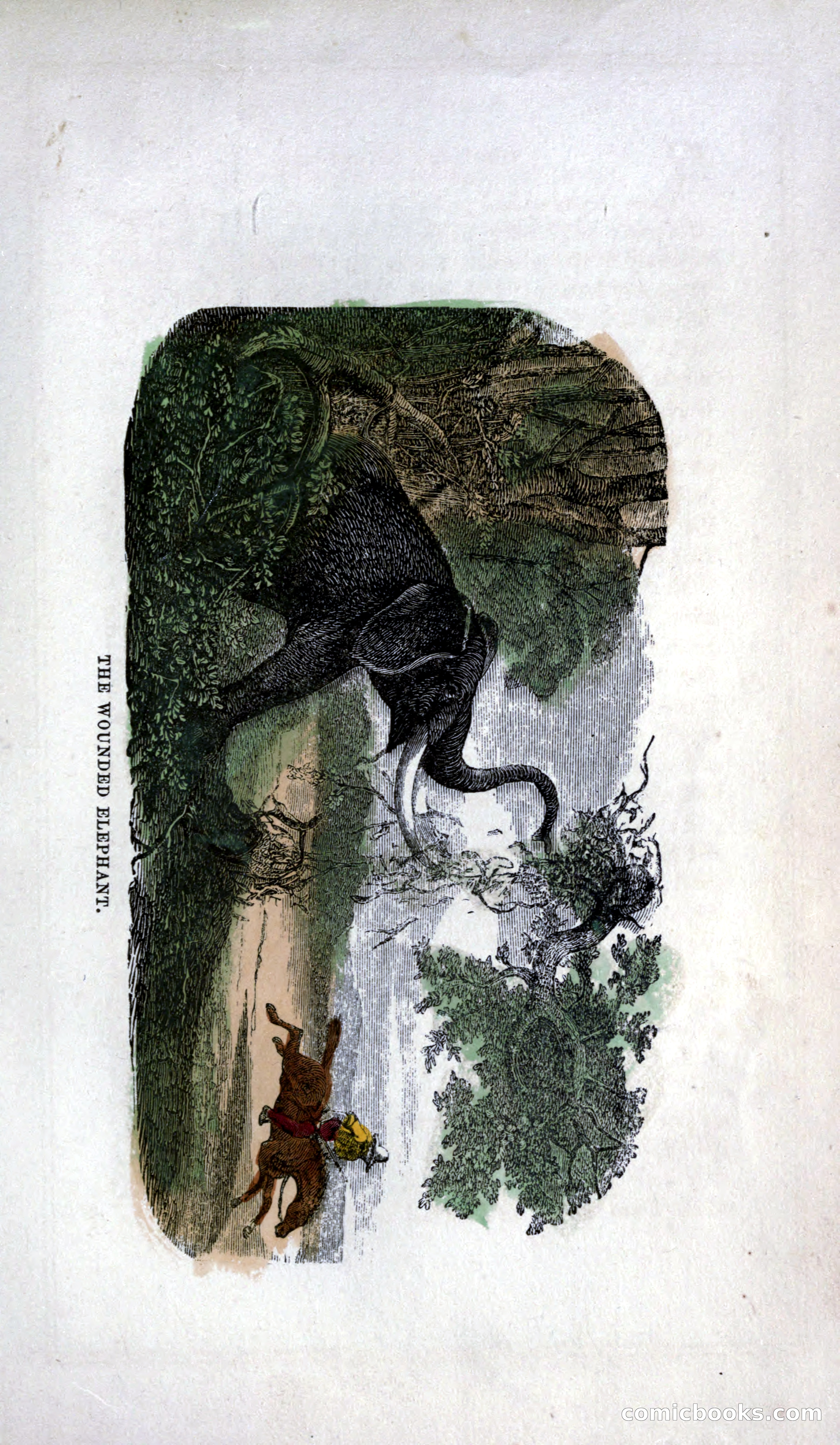 Thrilling Adventures of Hunters, in the Old World and the New — page 295 of 399