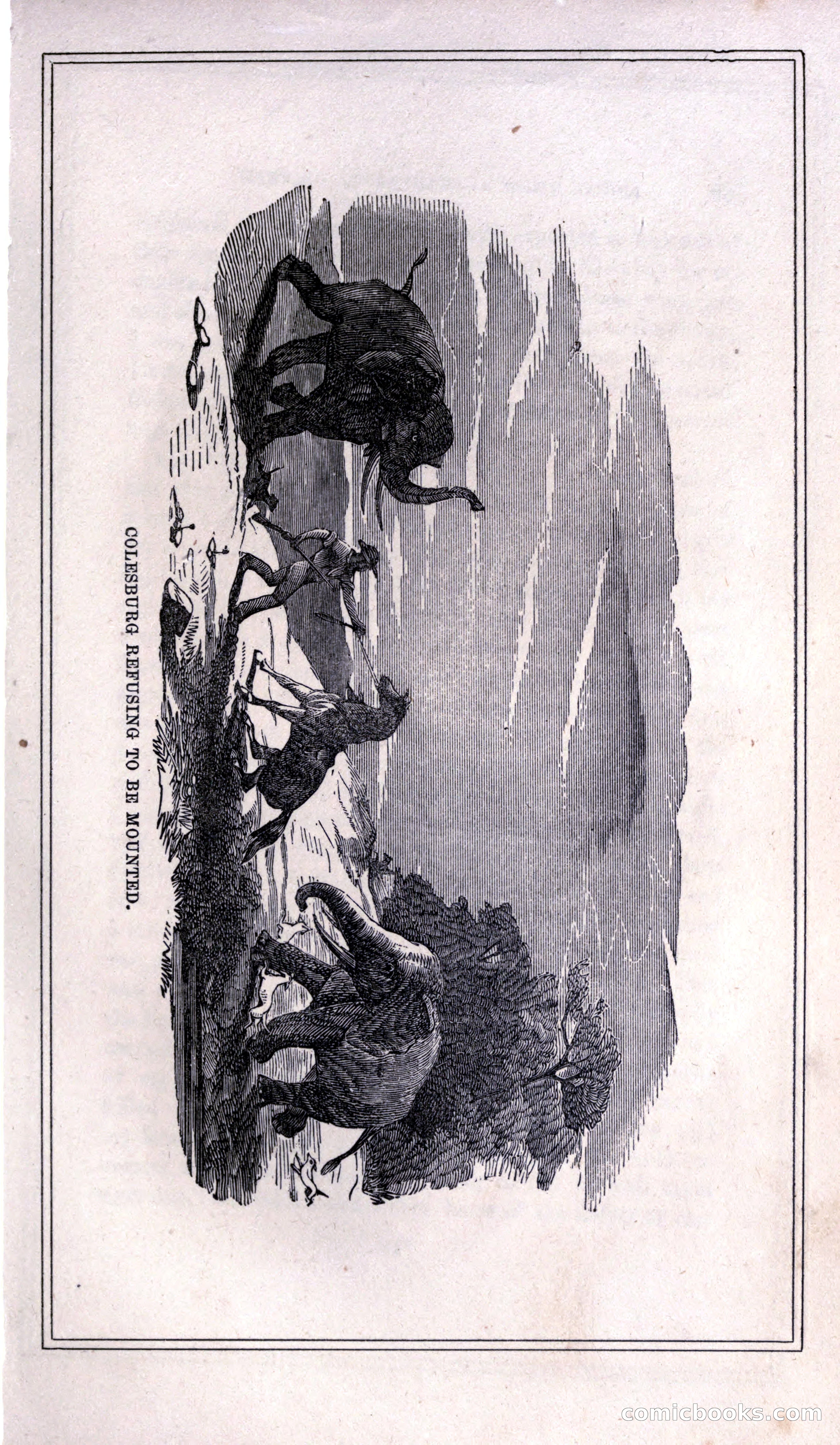 Thrilling Adventures of Hunters, in the Old World and the New — page 297 of 399