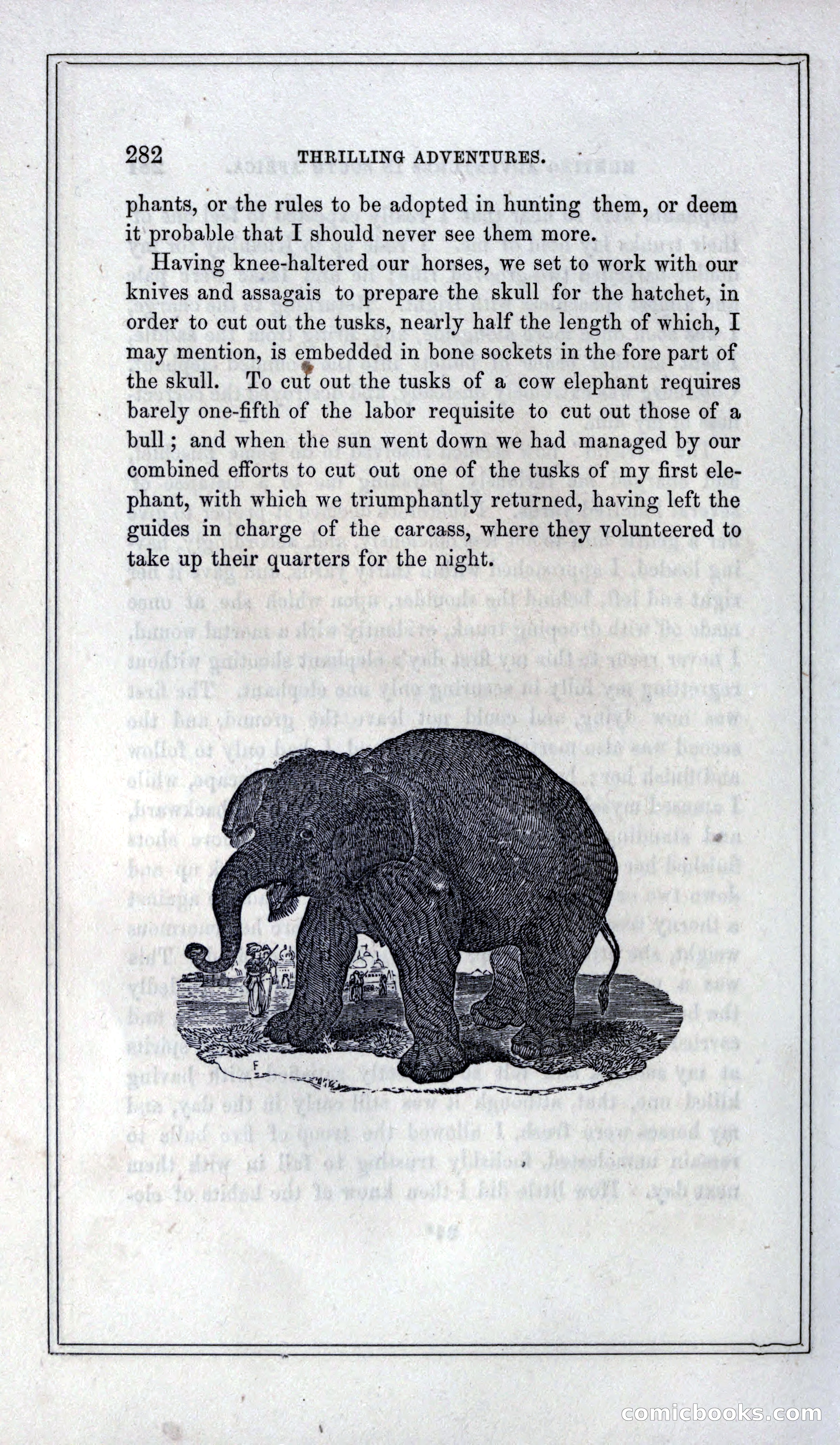 Thrilling Adventures of Hunters, in the Old World and the New — page 300 of 399