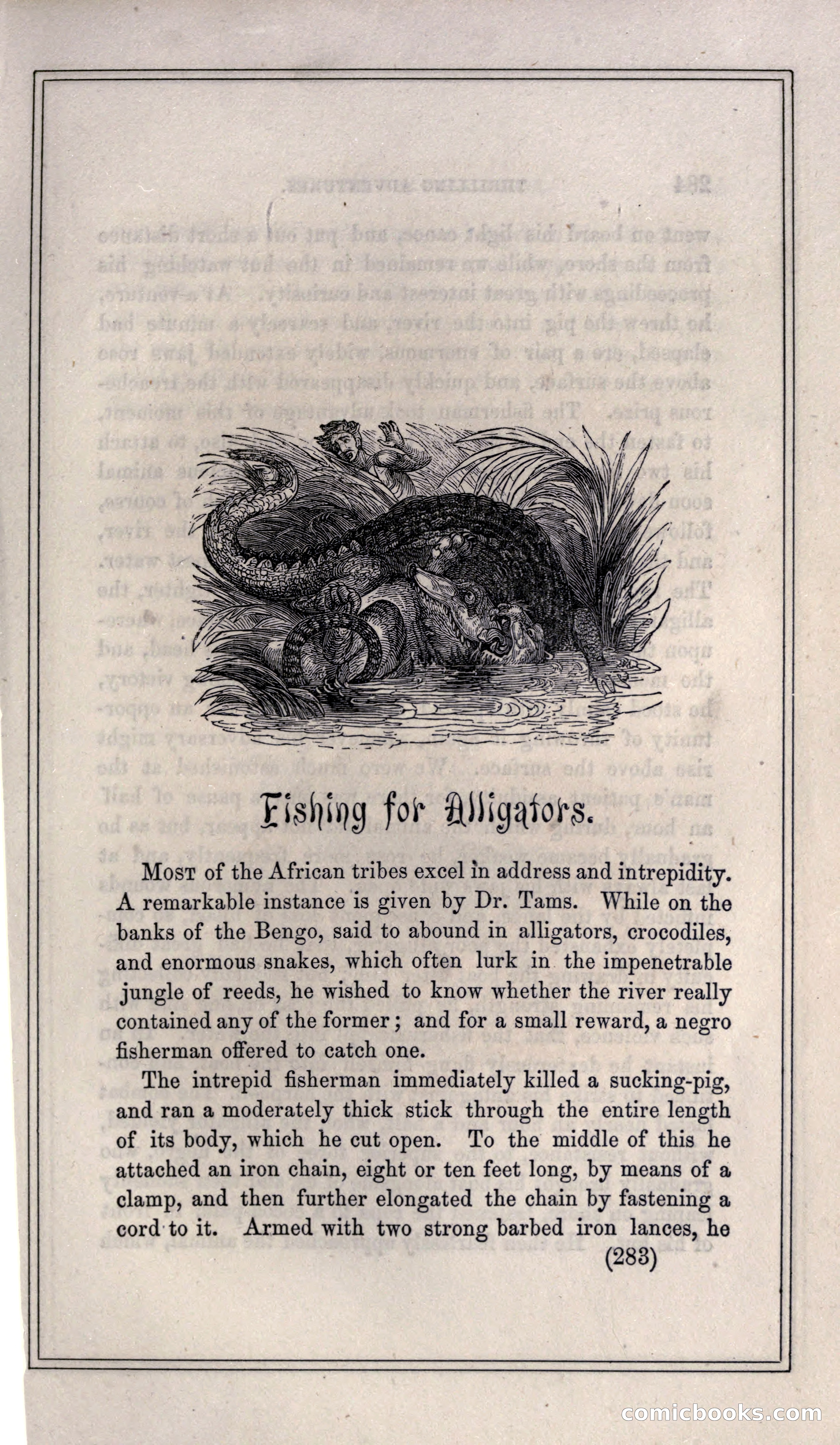 Thrilling Adventures of Hunters, in the Old World and the New — page 301 of 399