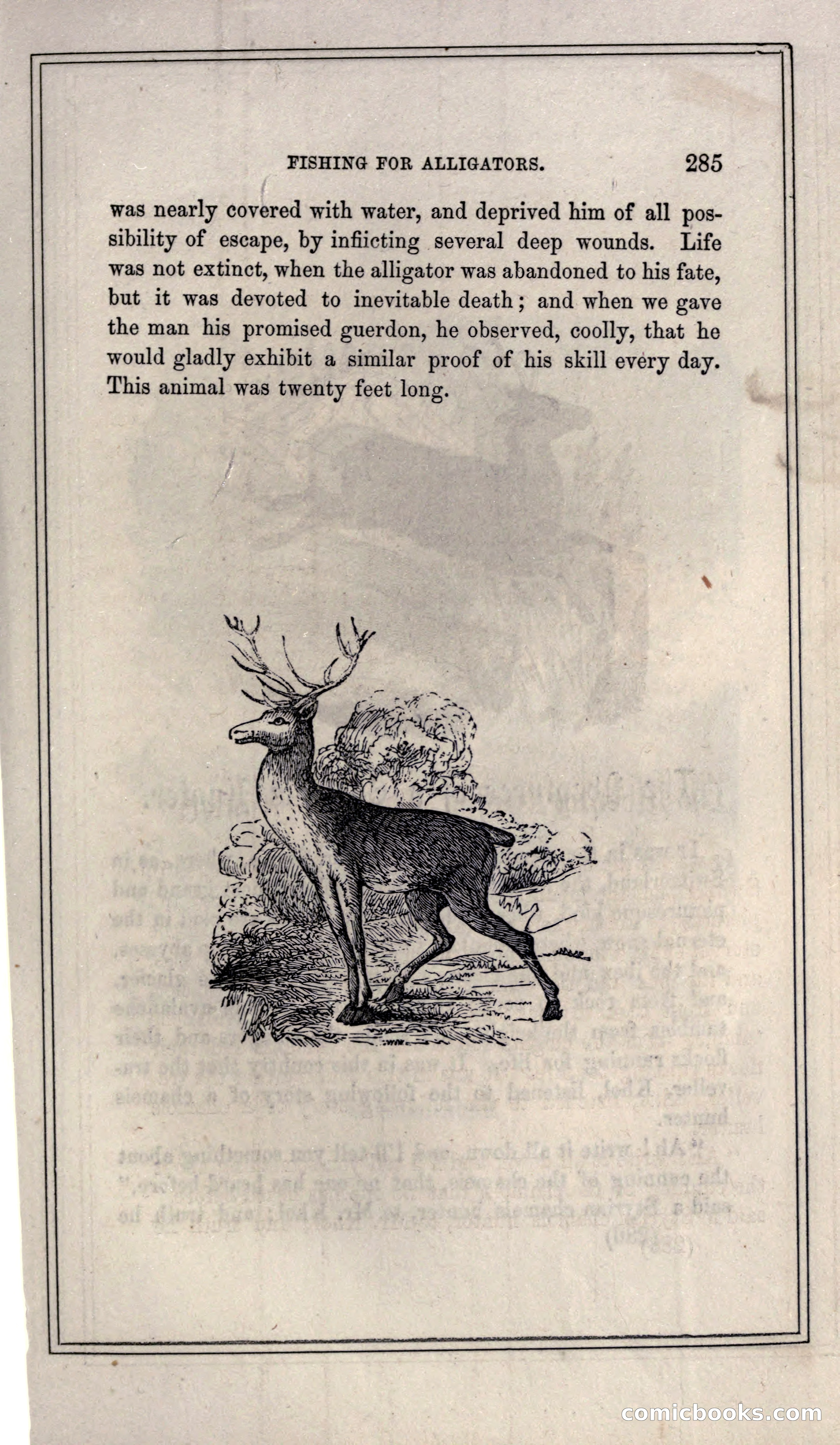 Thrilling Adventures of Hunters, in the Old World and the New — page 303 of 399
