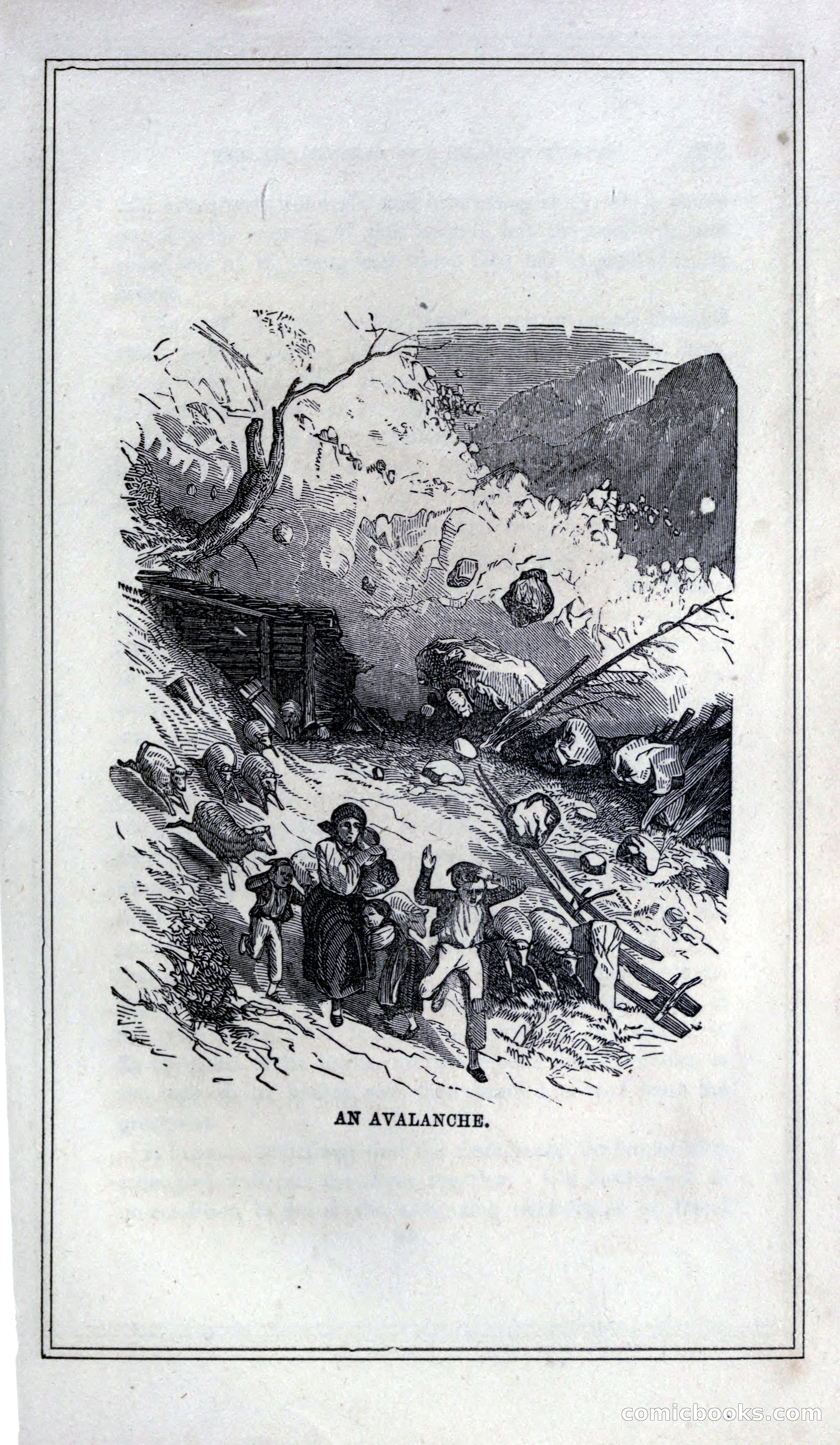 Thrilling Adventures of Hunters, in the Old World and the New — page 305 of 399