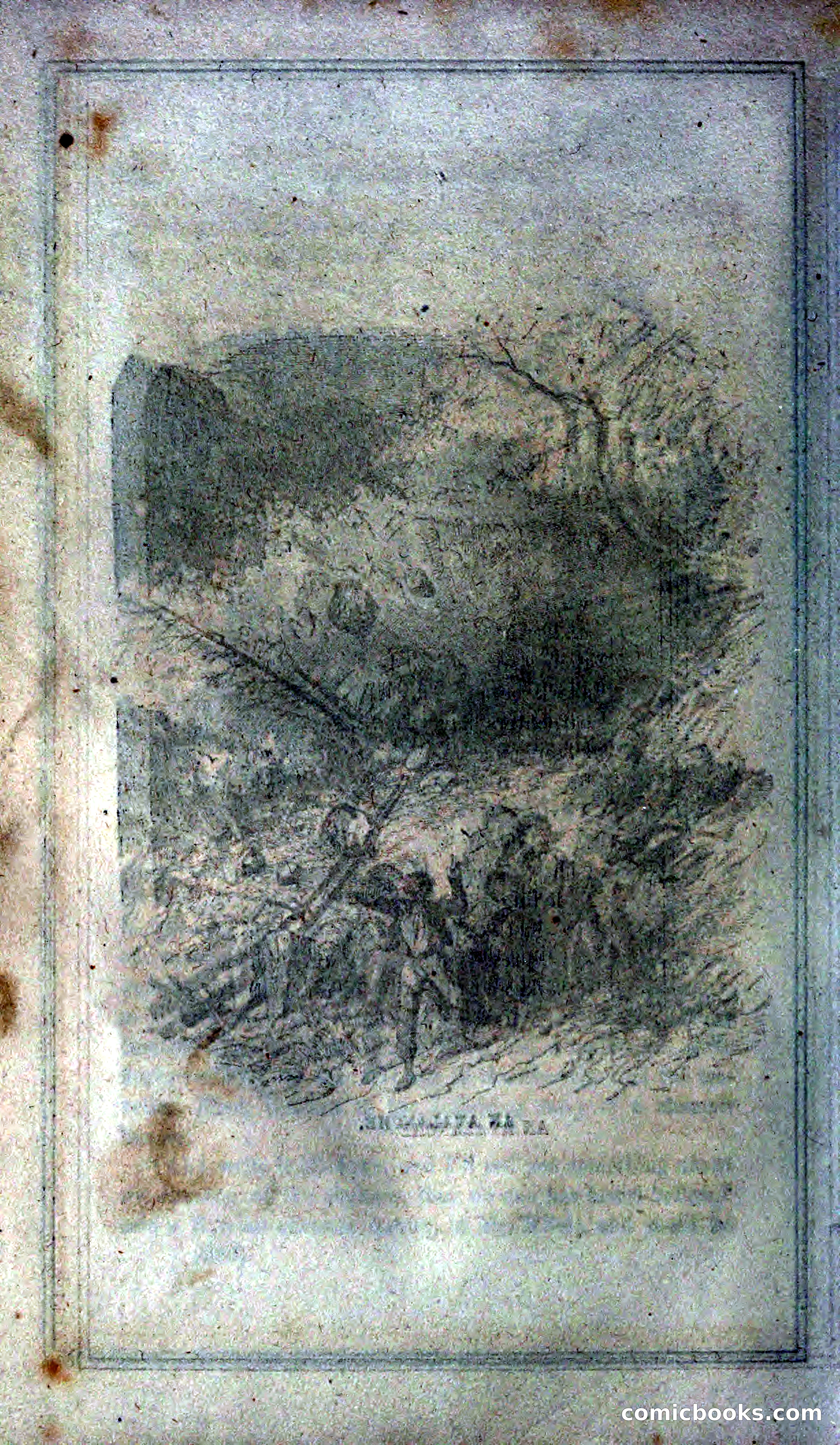 Thrilling Adventures of Hunters, in the Old World and the New — page 306 of 399