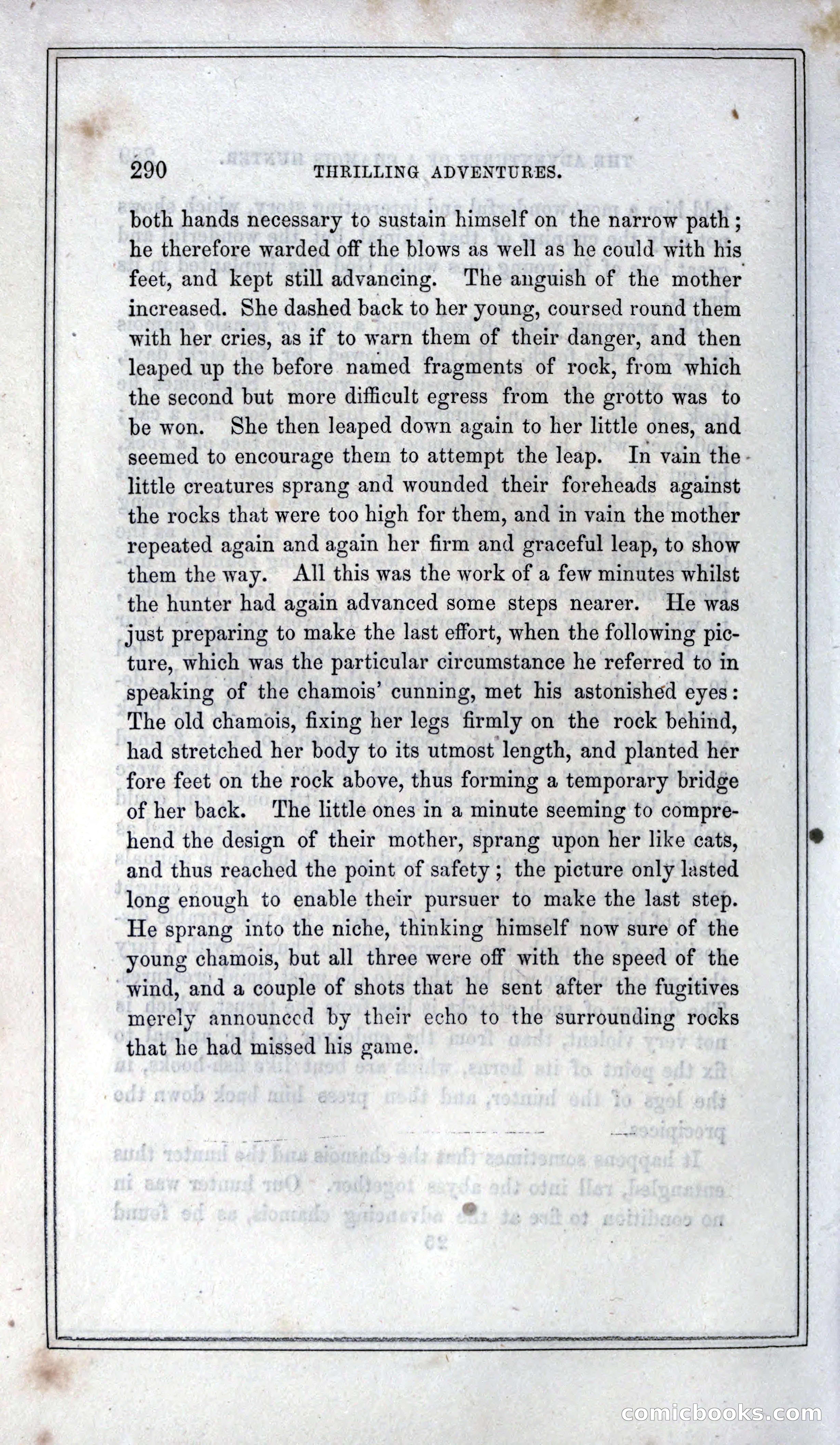 Thrilling Adventures of Hunters, in the Old World and the New — page 308 of 399
