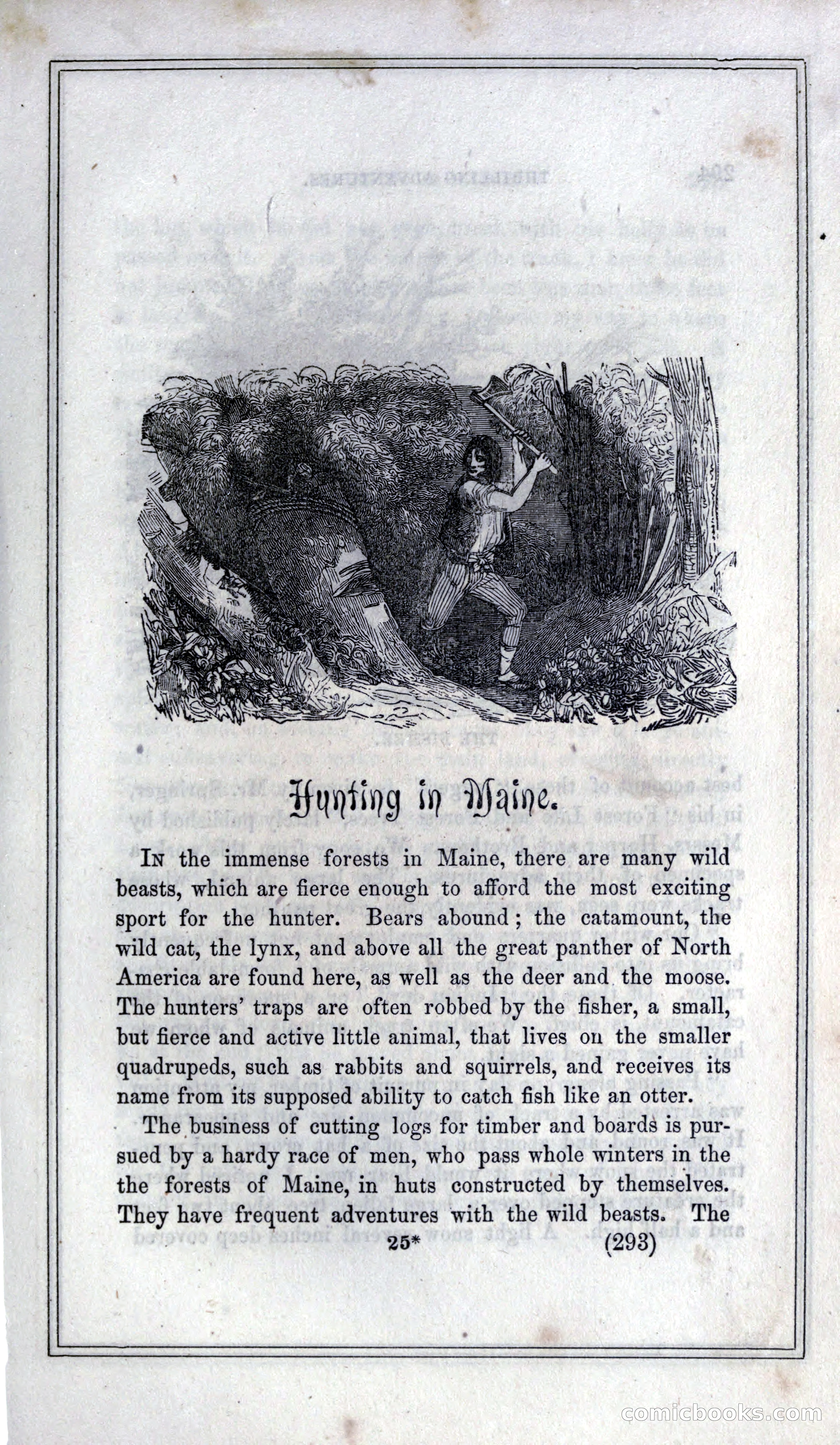 Thrilling Adventures of Hunters, in the Old World and the New — page 311 of 399