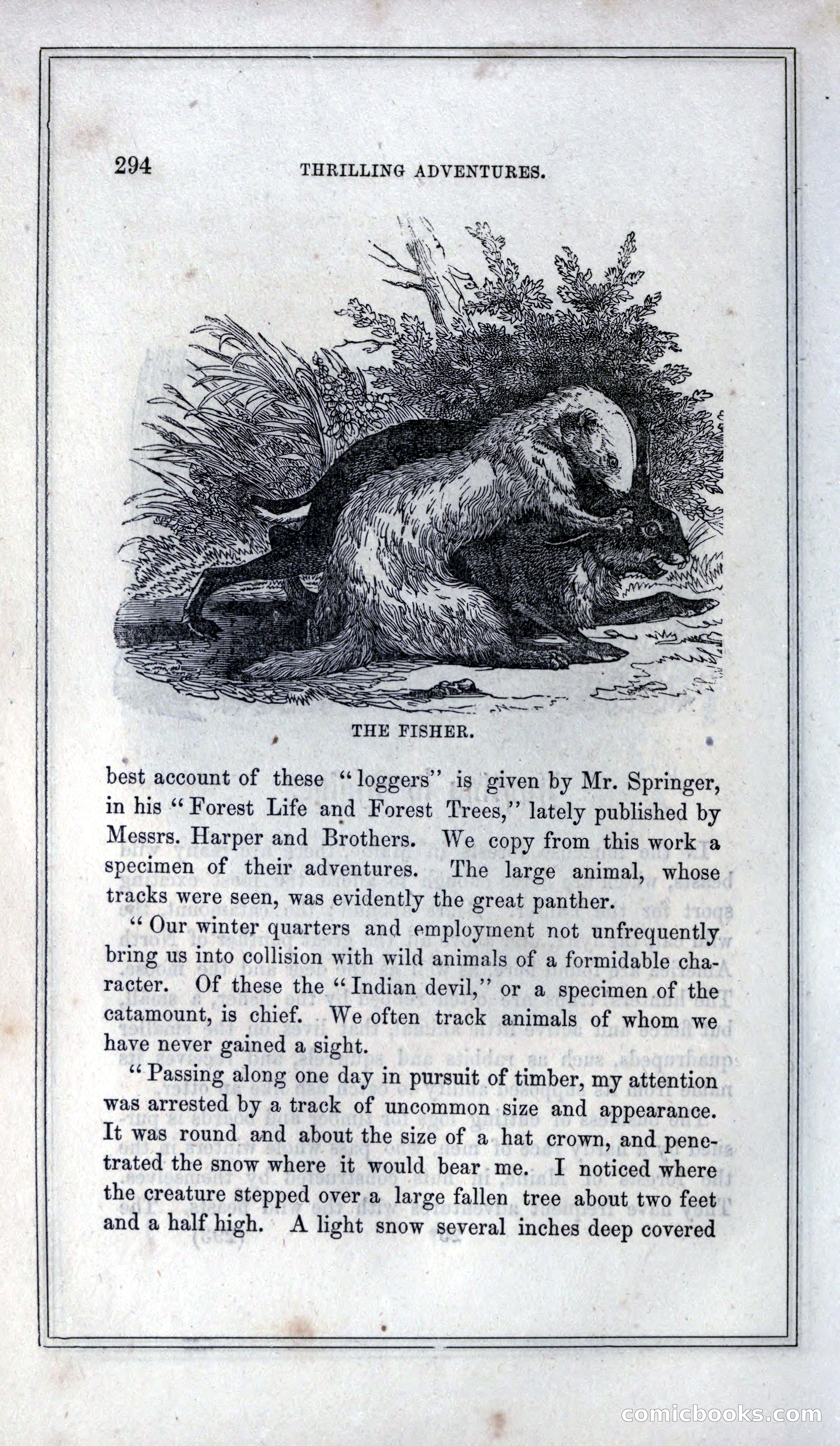 Thrilling Adventures of Hunters, in the Old World and the New — page 312 of 399