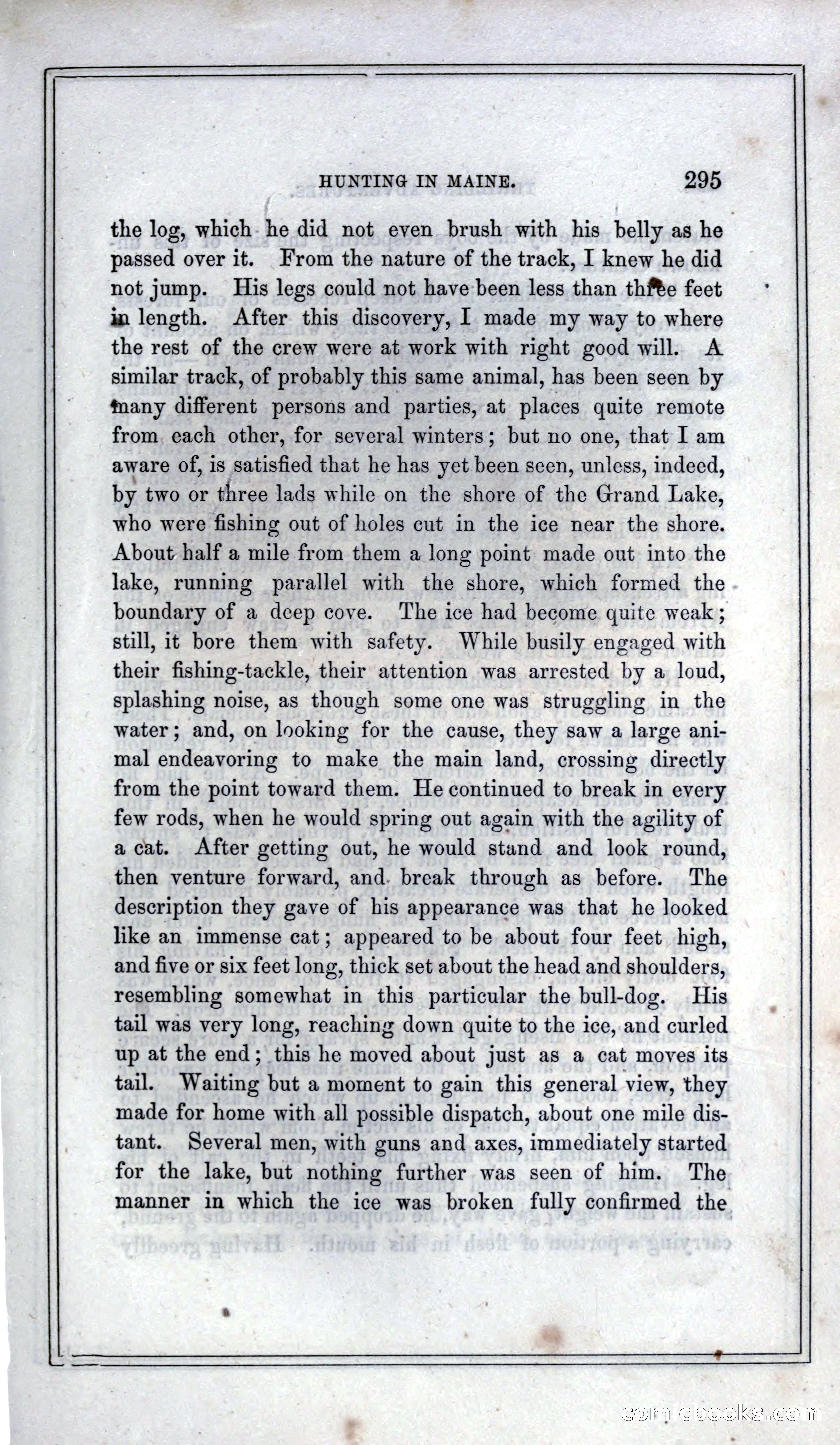 Thrilling Adventures of Hunters, in the Old World and the New — page 313 of 399