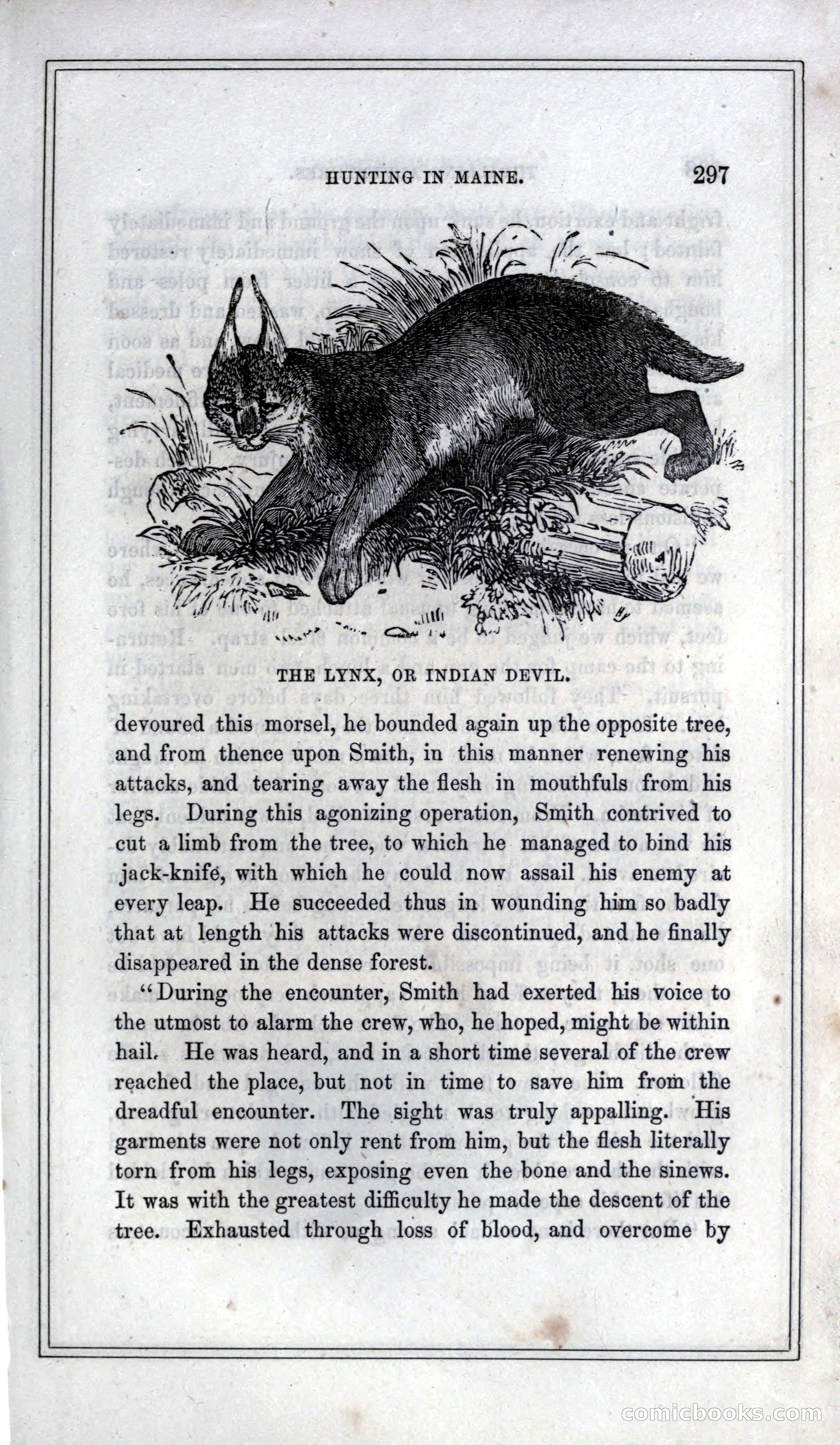 Thrilling Adventures of Hunters, in the Old World and the New — page 315 of 399