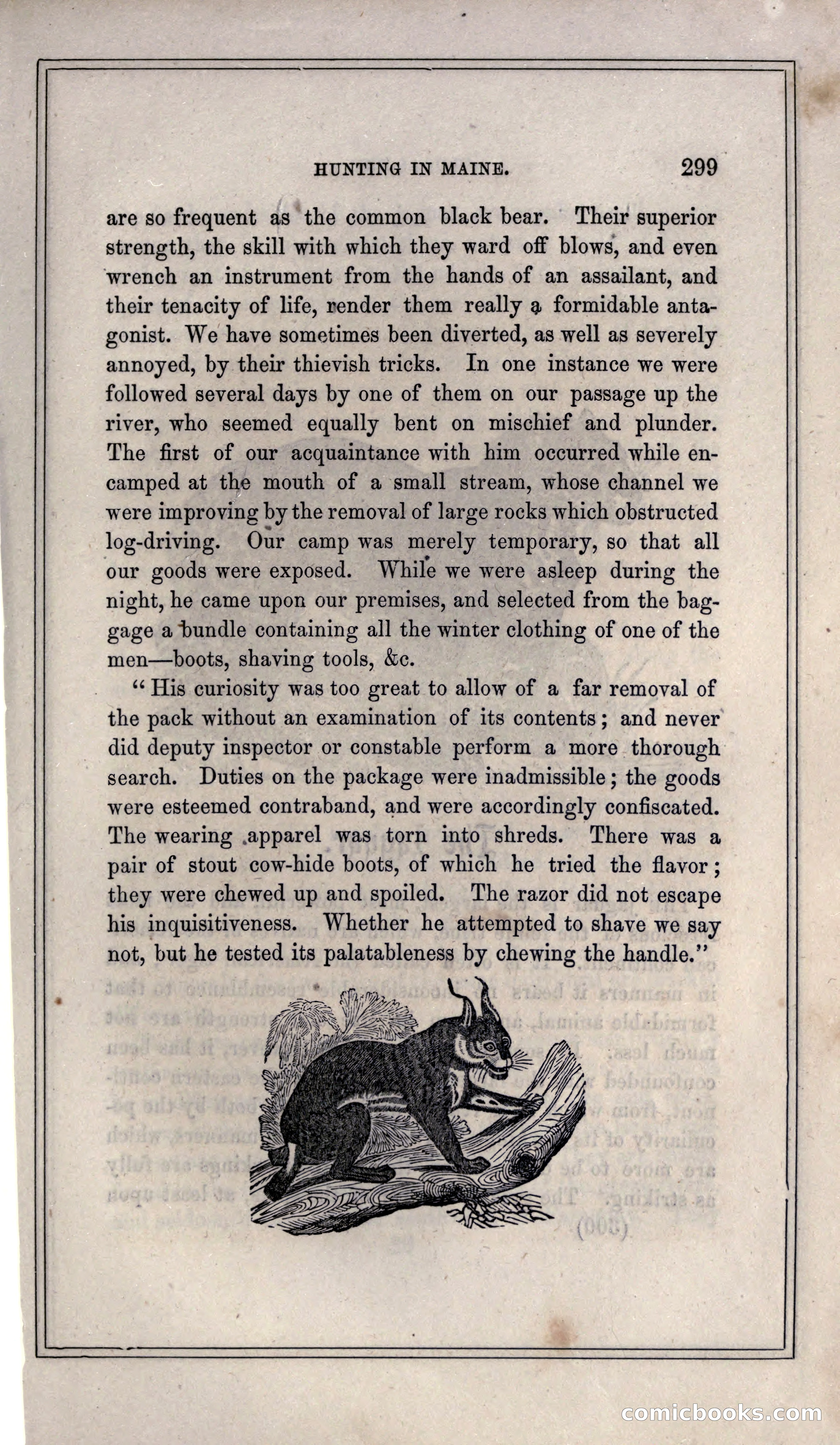 Thrilling Adventures of Hunters, in the Old World and the New — page 317 of 399