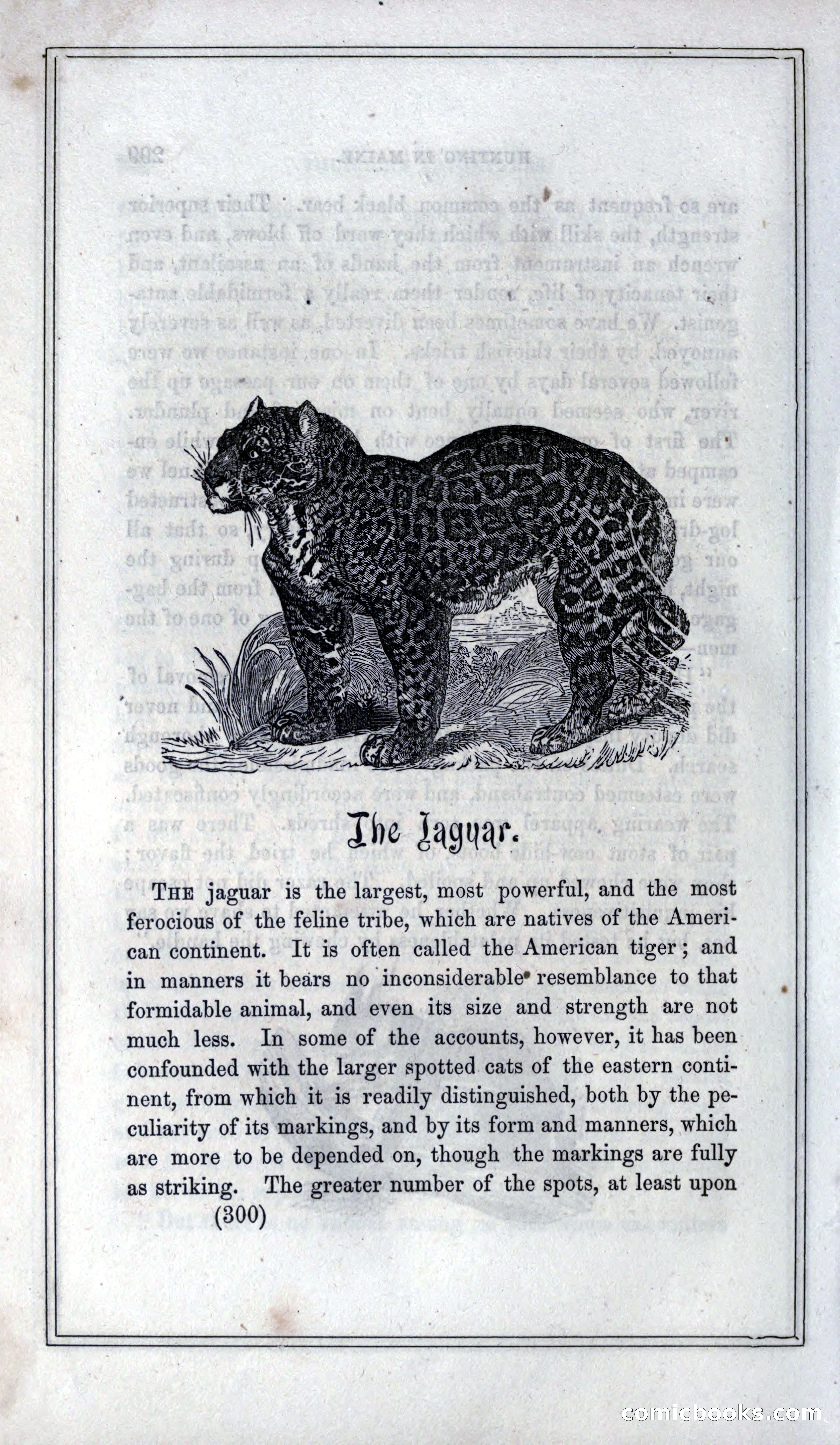 Thrilling Adventures of Hunters, in the Old World and the New — page 318 of 399