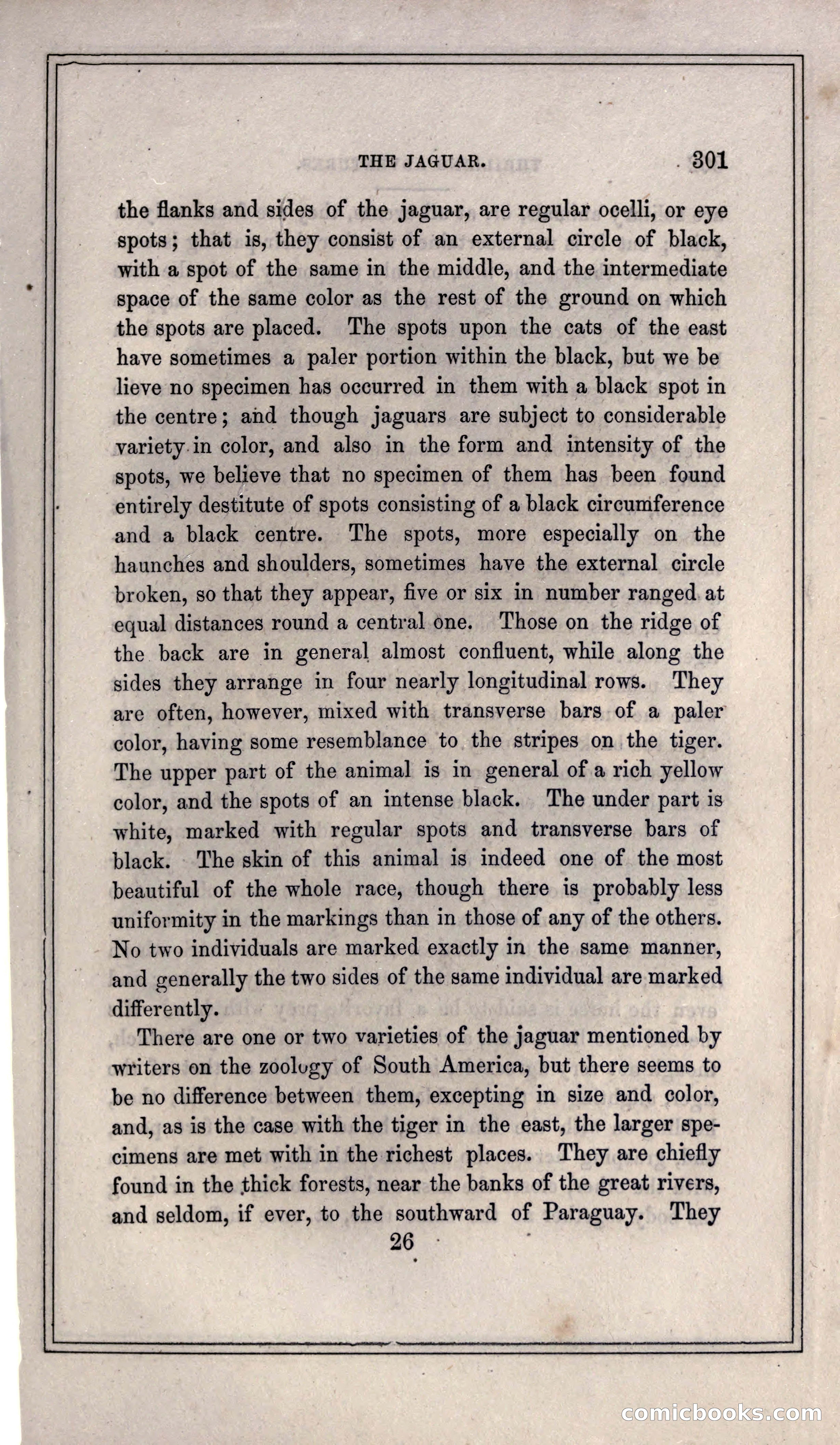 Thrilling Adventures of Hunters, in the Old World and the New — page 319 of 399