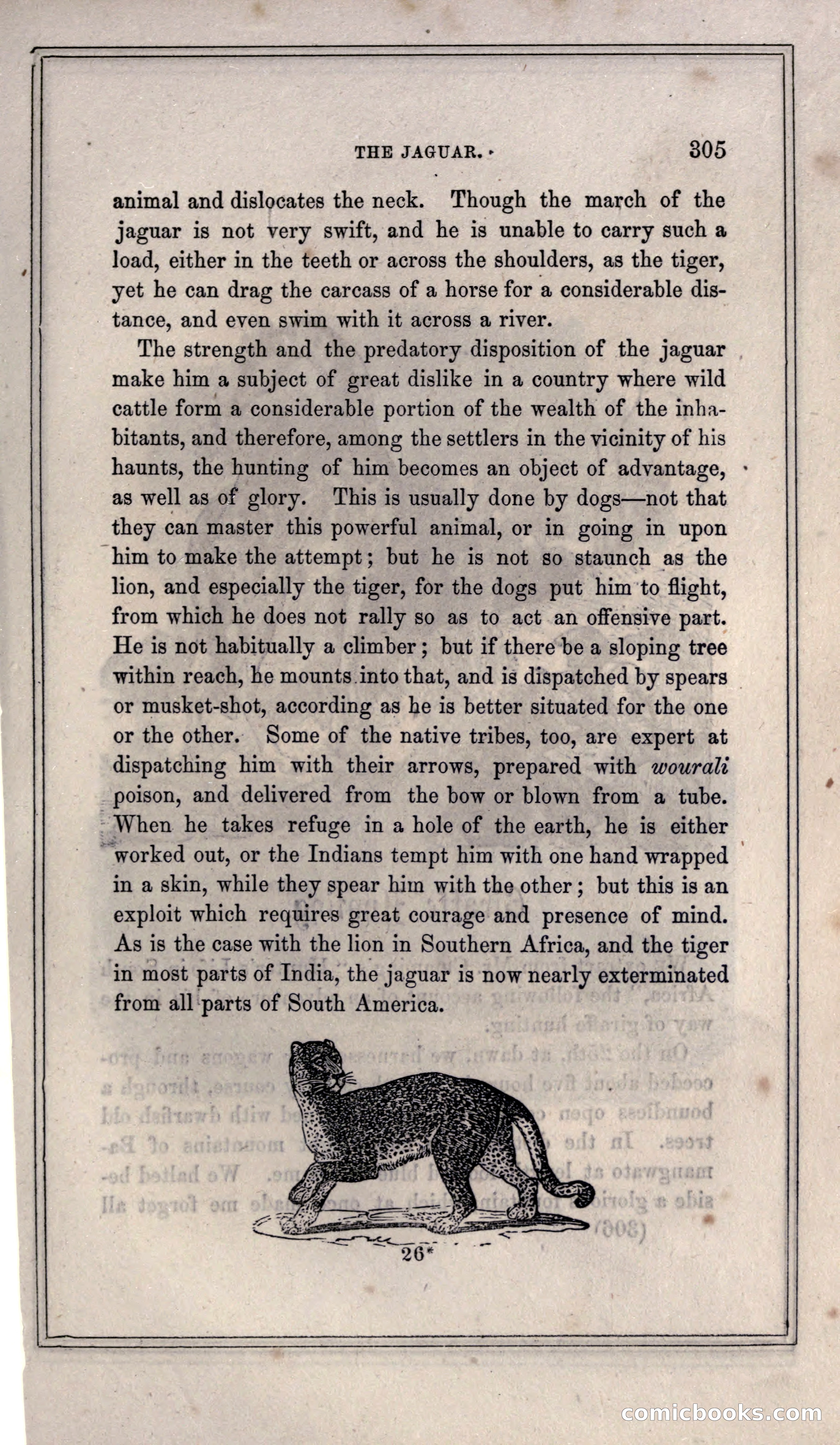 Thrilling Adventures of Hunters, in the Old World and the New — page 323 of 399