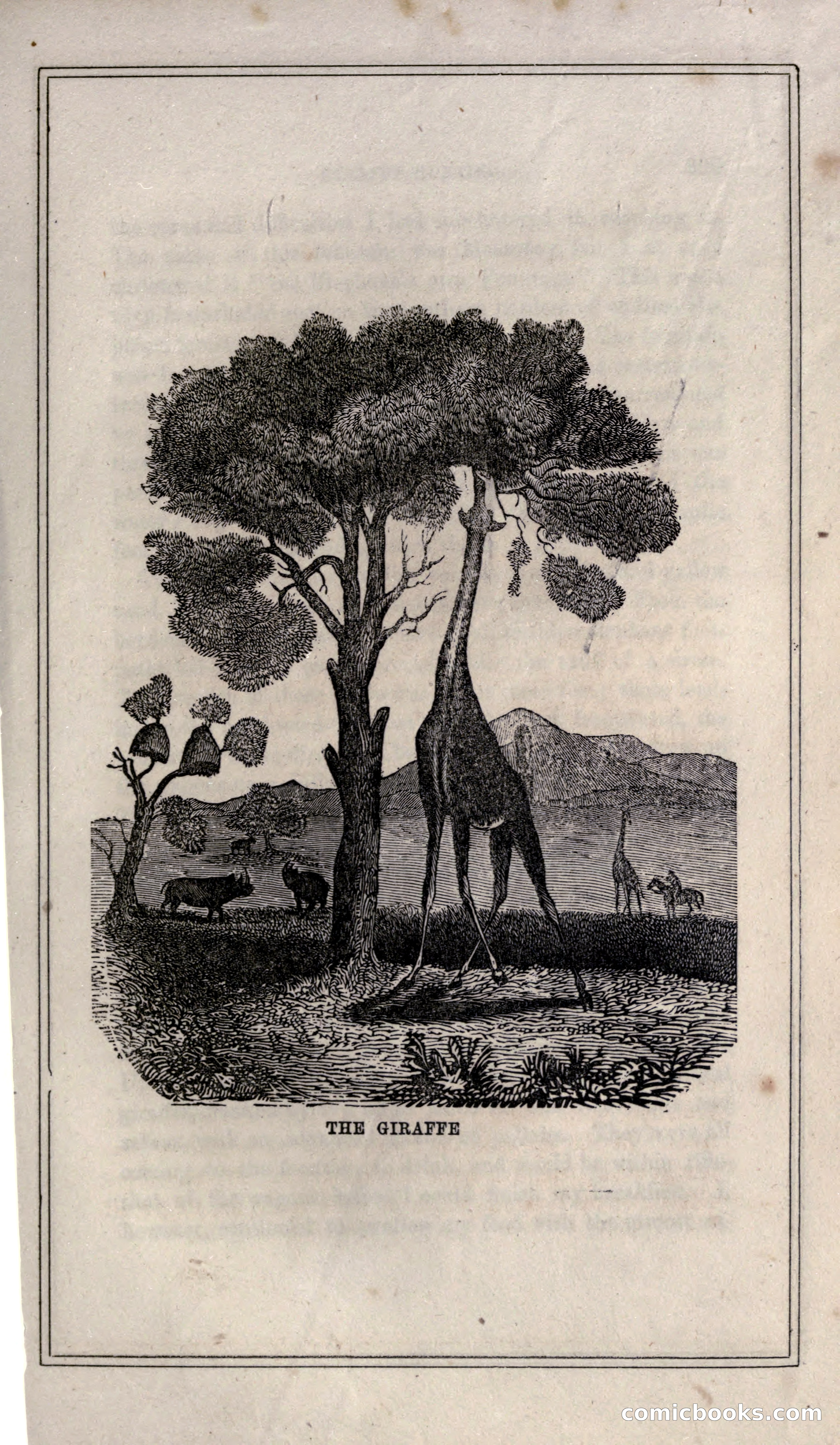 Thrilling Adventures of Hunters, in the Old World and the New — page 325 of 399