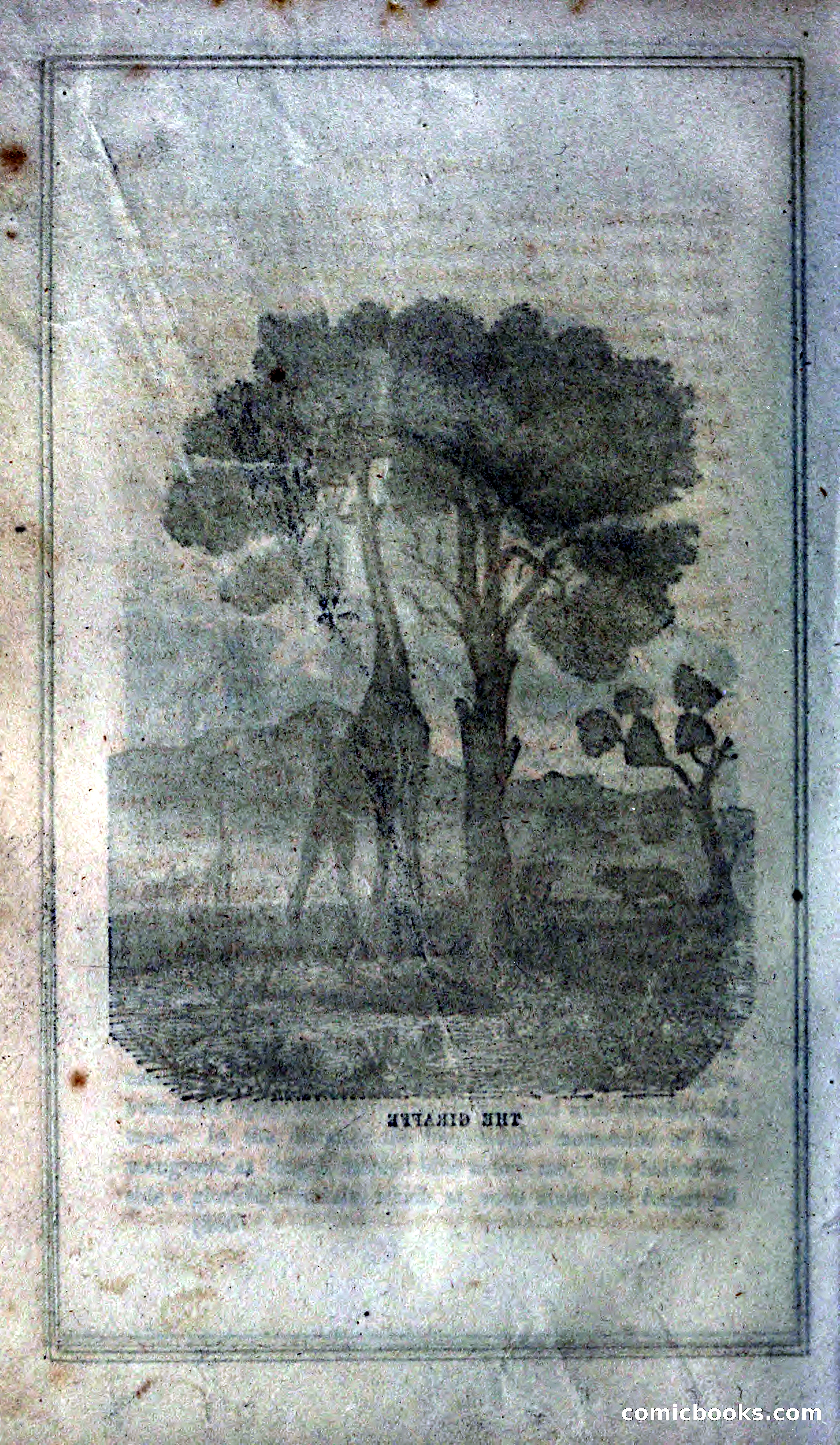 Thrilling Adventures of Hunters, in the Old World and the New — page 326 of 399