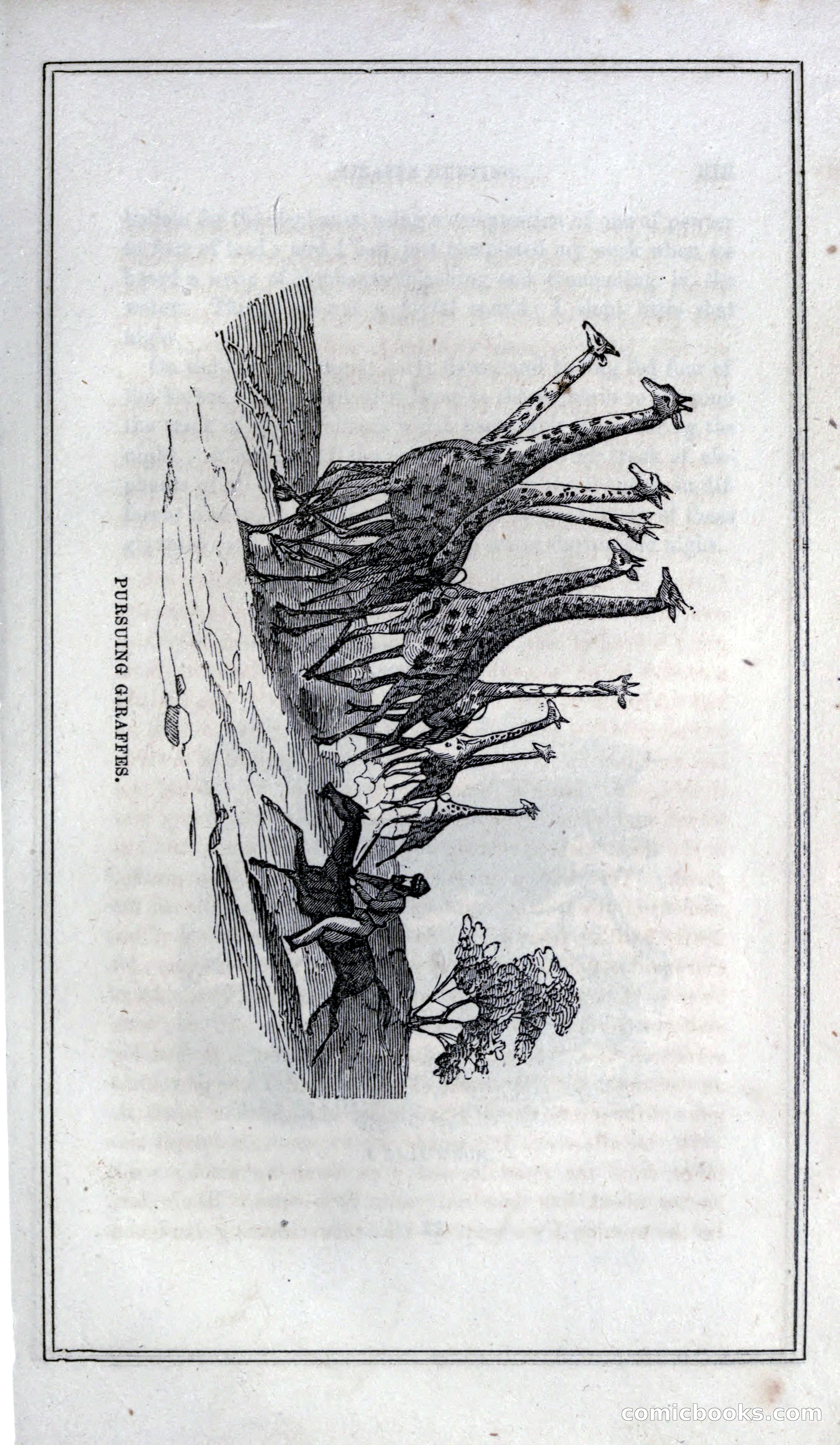 Thrilling Adventures of Hunters, in the Old World and the New — page 329 of 399