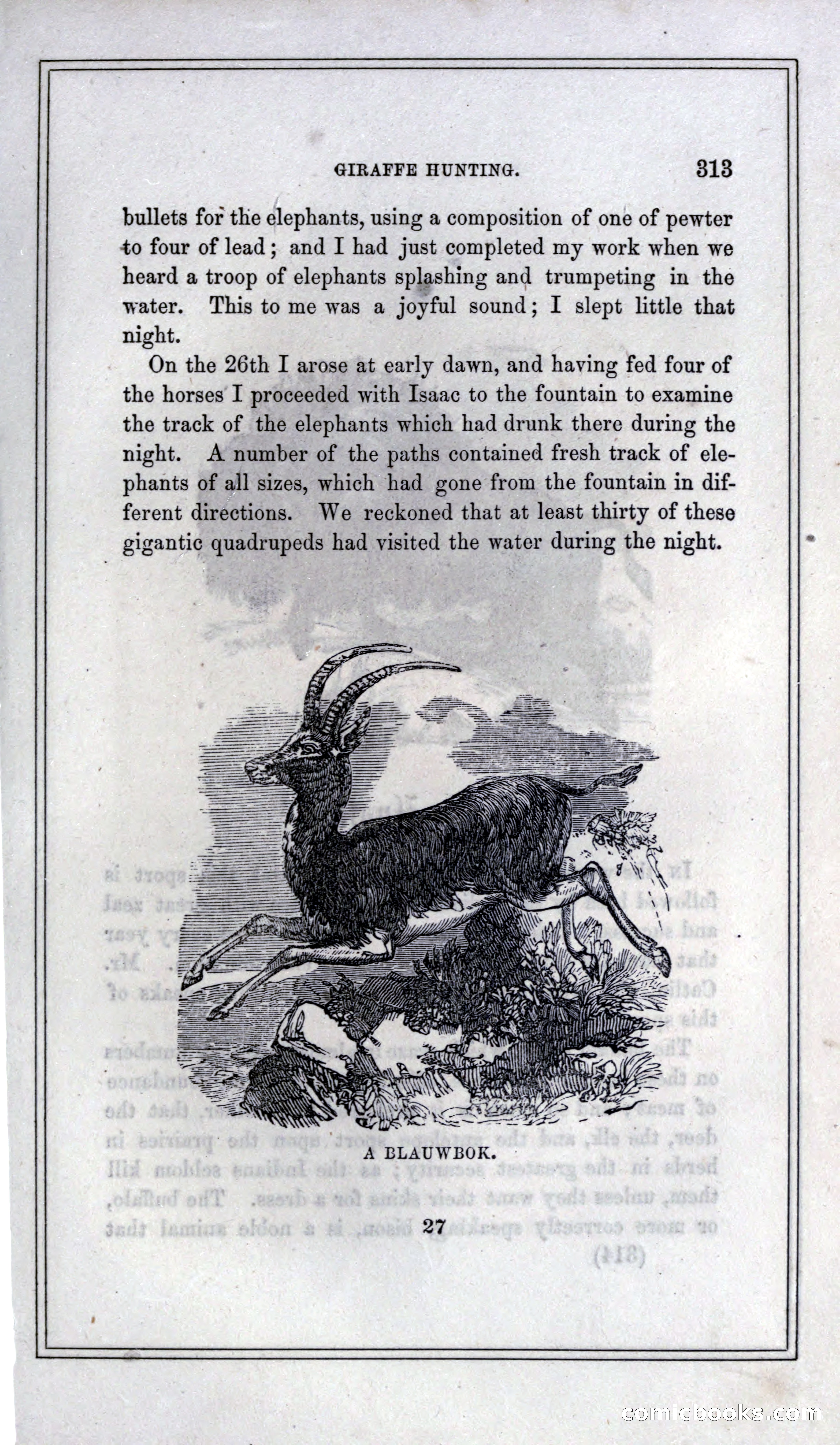 Thrilling Adventures of Hunters, in the Old World and the New — page 331 of 399