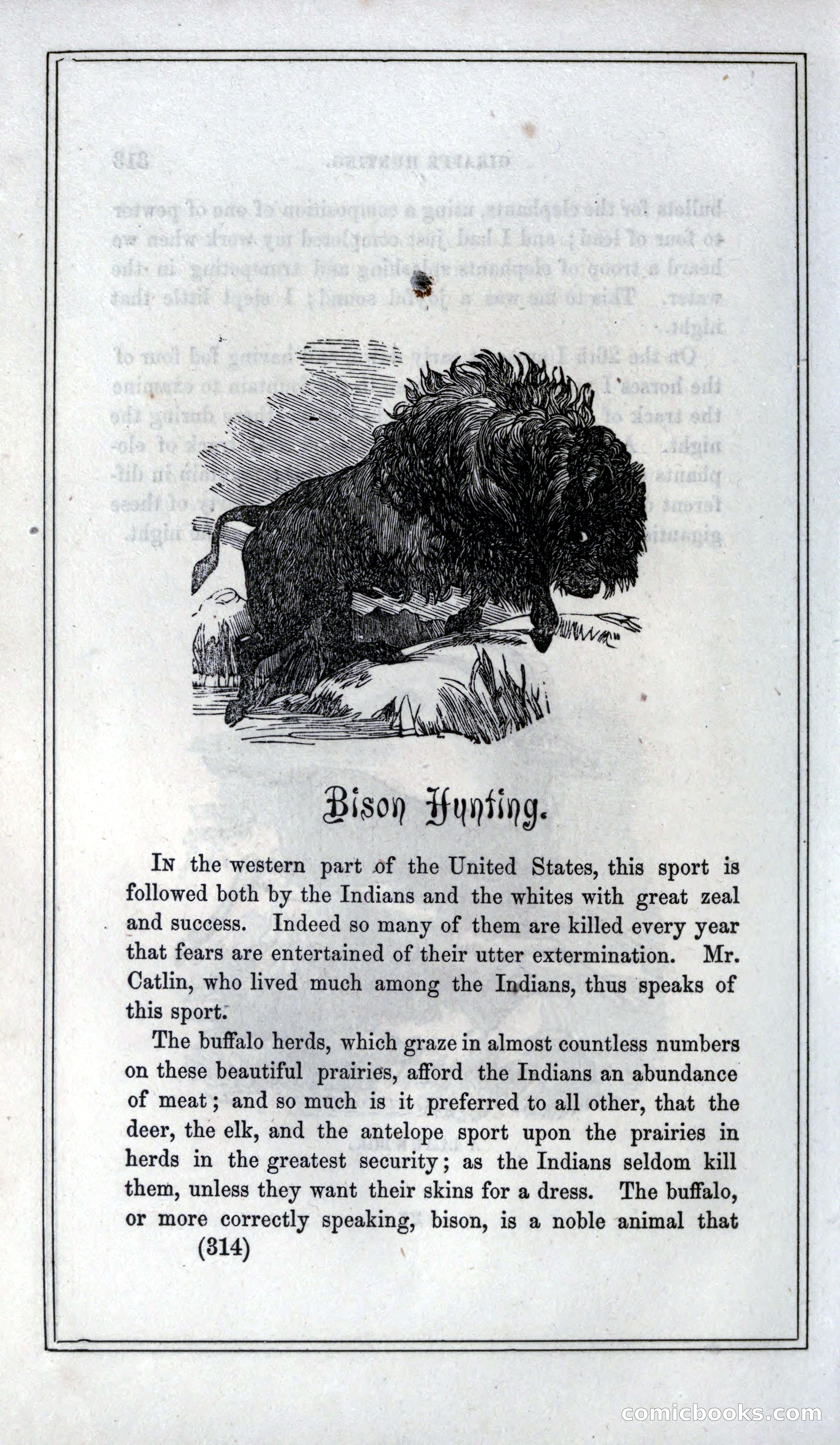 Thrilling Adventures of Hunters, in the Old World and the New — page 332 of 399