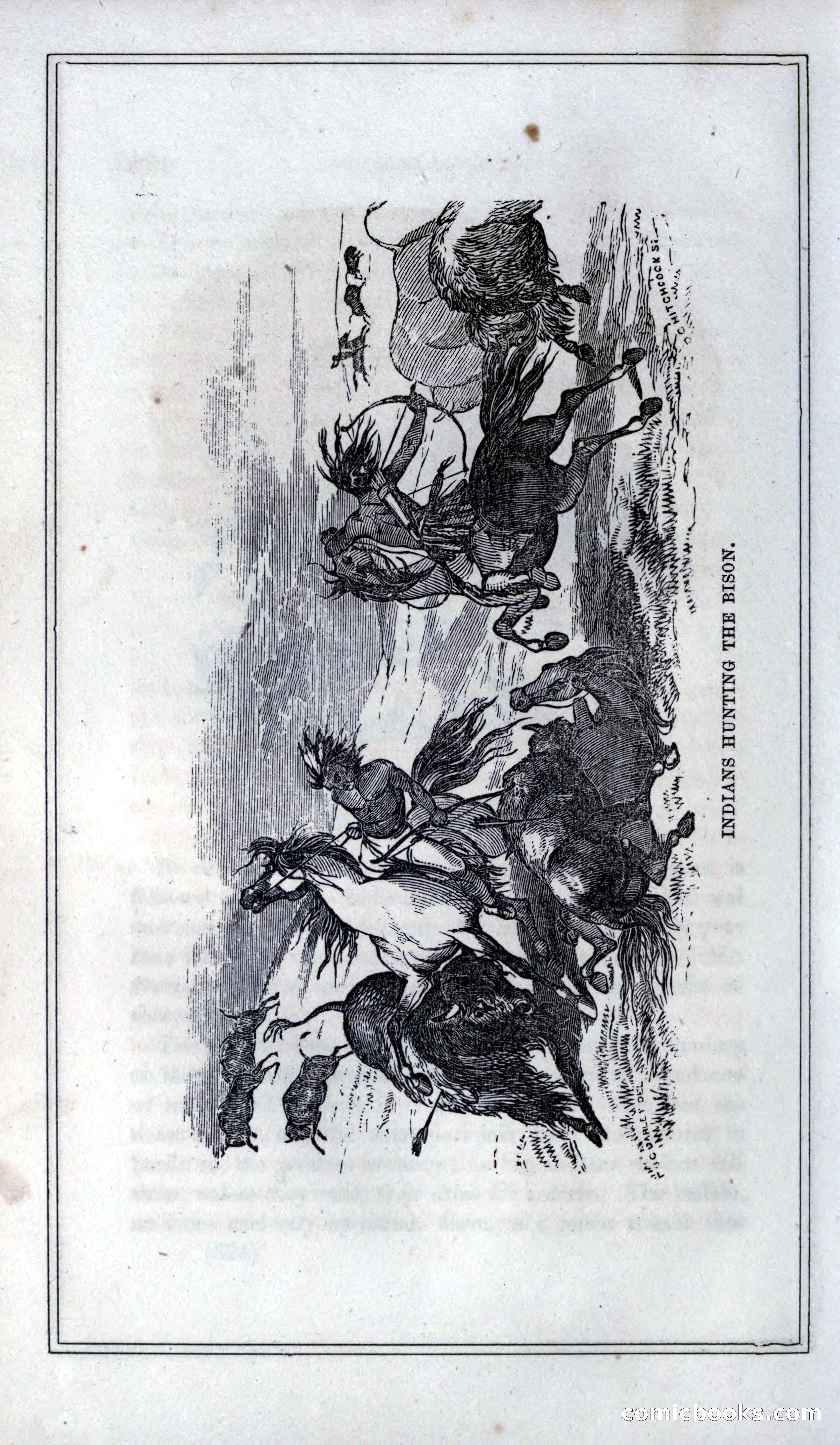 Thrilling Adventures of Hunters, in the Old World and the New — page 334 of 399