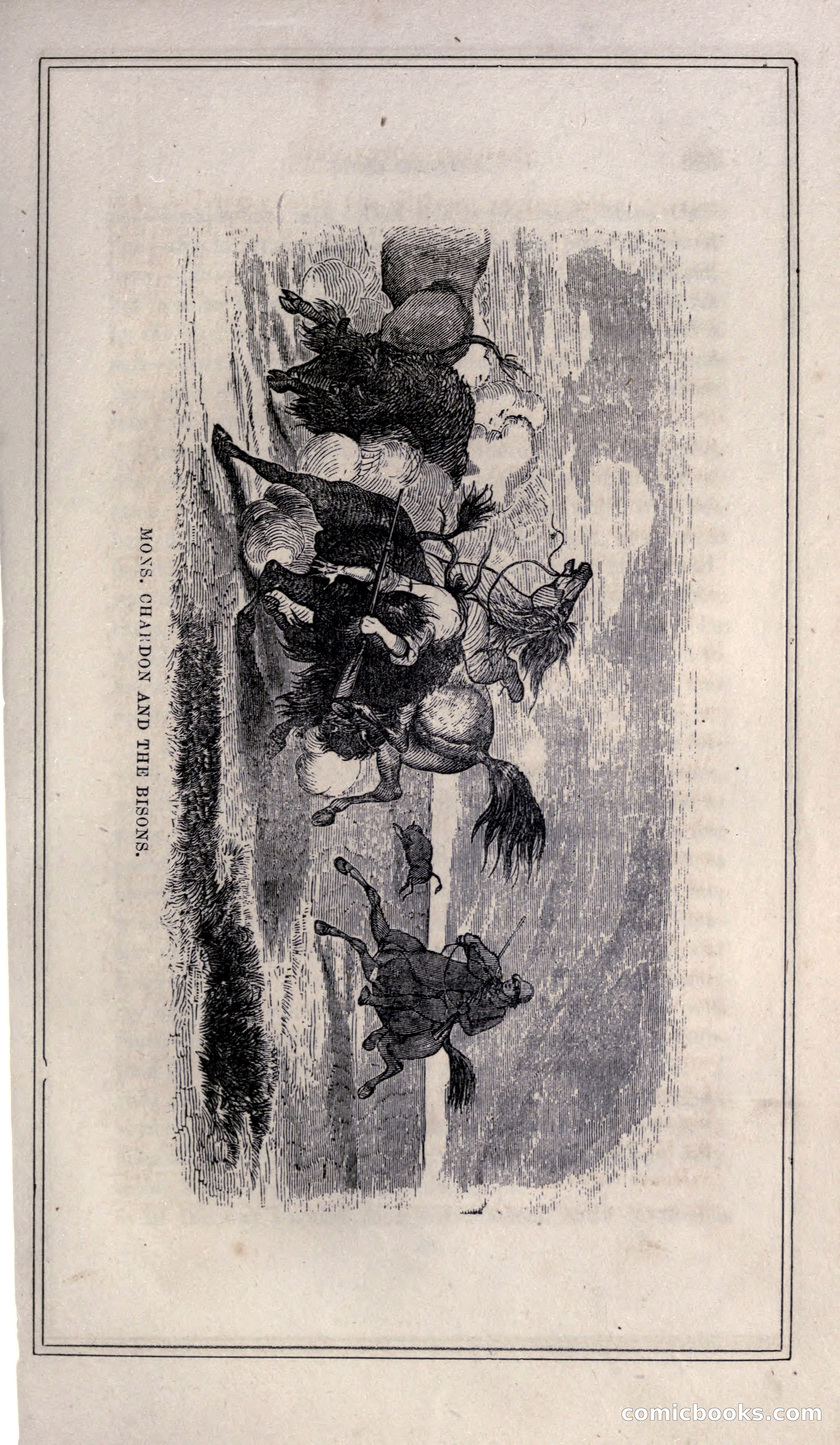Thrilling Adventures of Hunters, in the Old World and the New — page 341 of 399