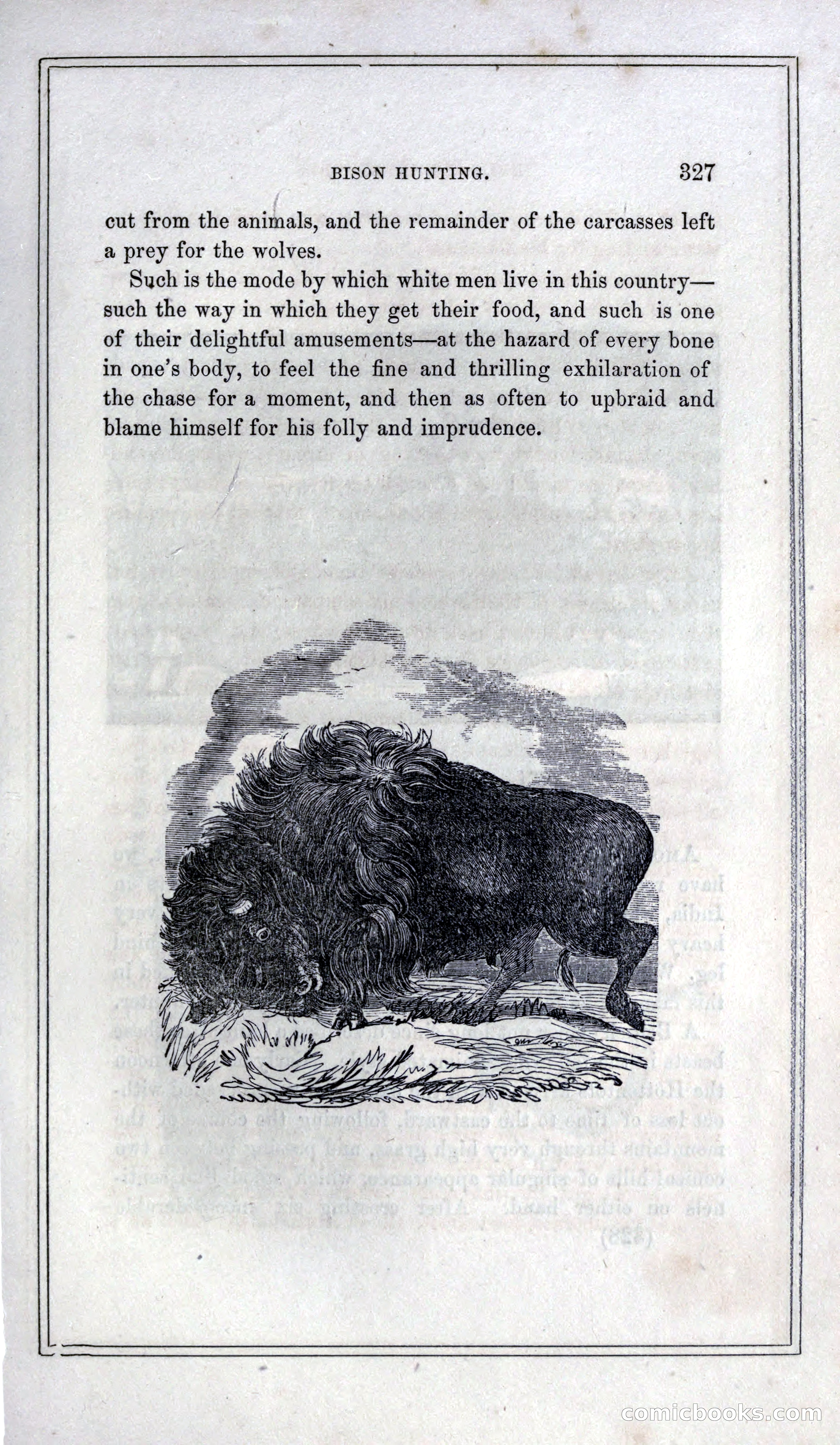Thrilling Adventures of Hunters, in the Old World and the New — page 345 of 399