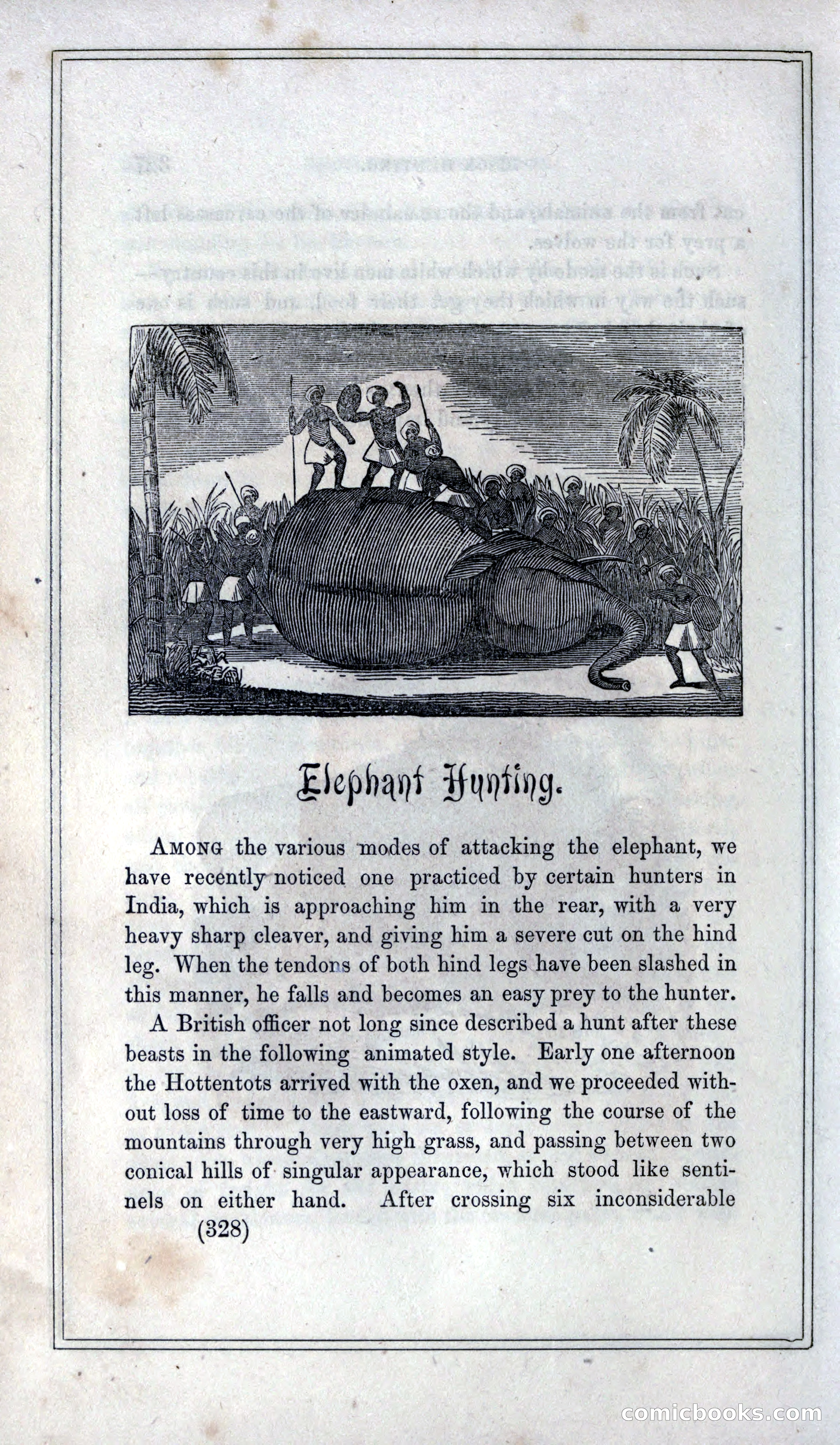Thrilling Adventures of Hunters, in the Old World and the New — page 346 of 399