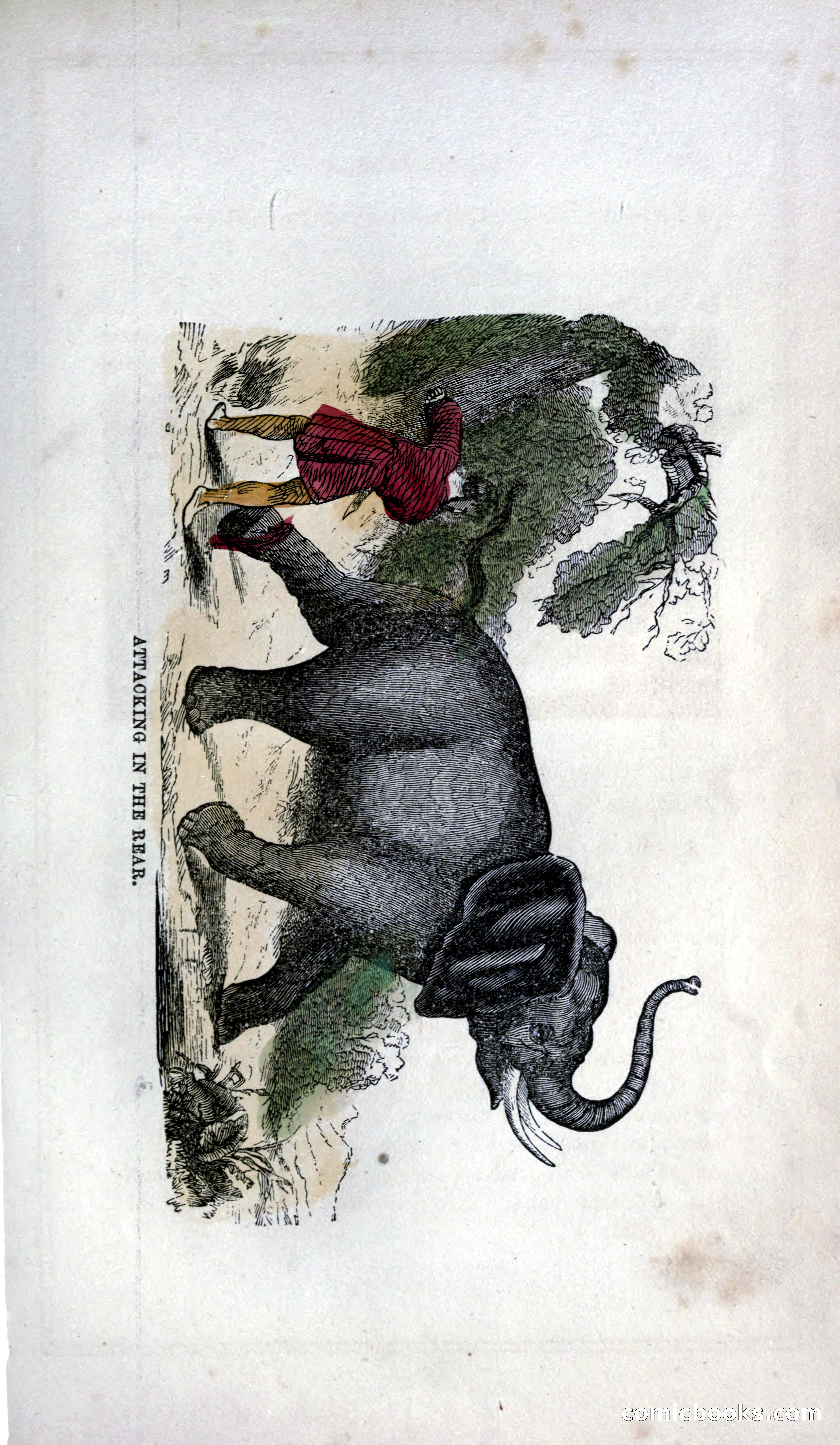 Thrilling Adventures of Hunters, in the Old World and the New — page 347 of 399