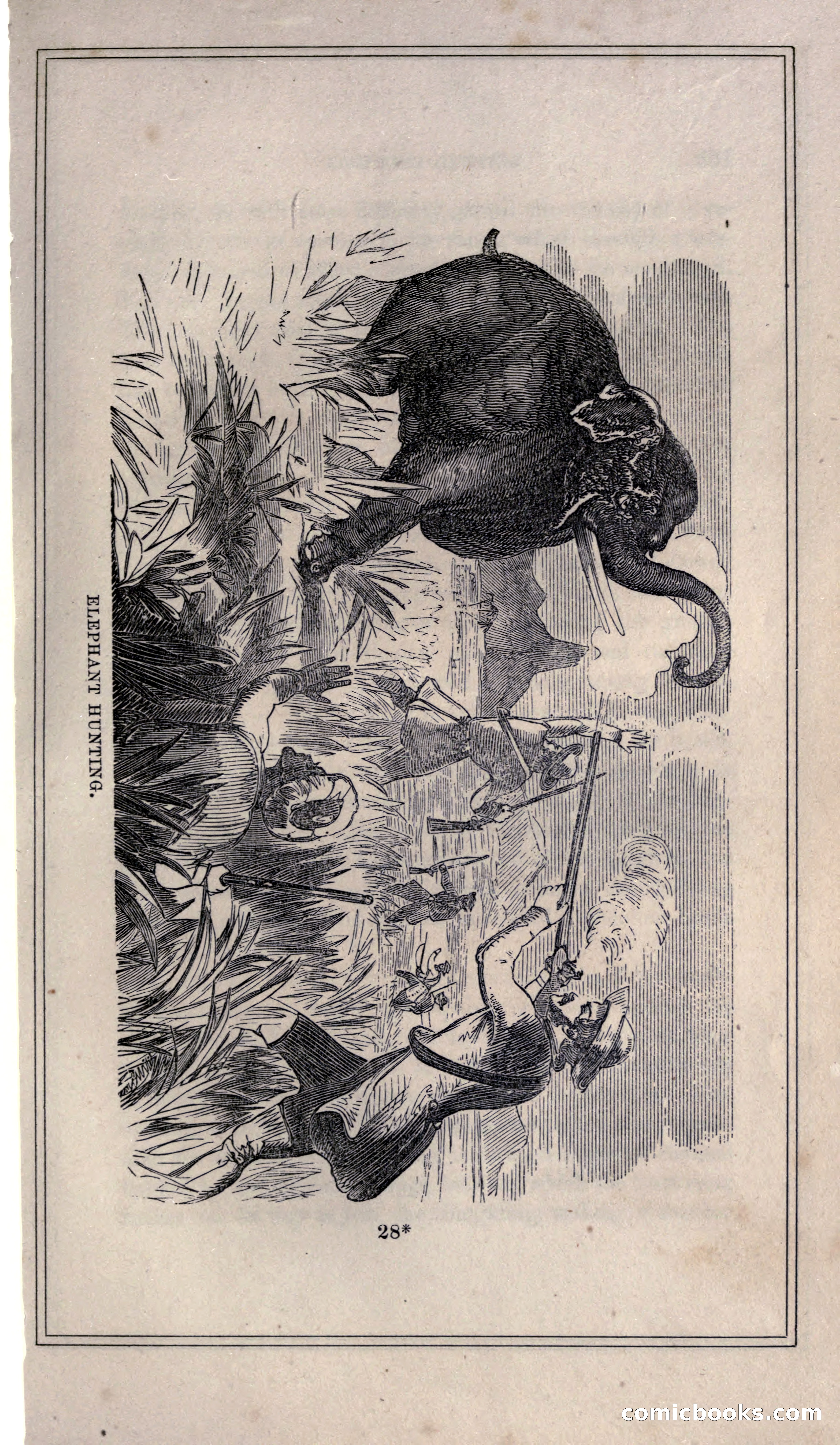 Thrilling Adventures of Hunters, in the Old World and the New — page 349 of 399