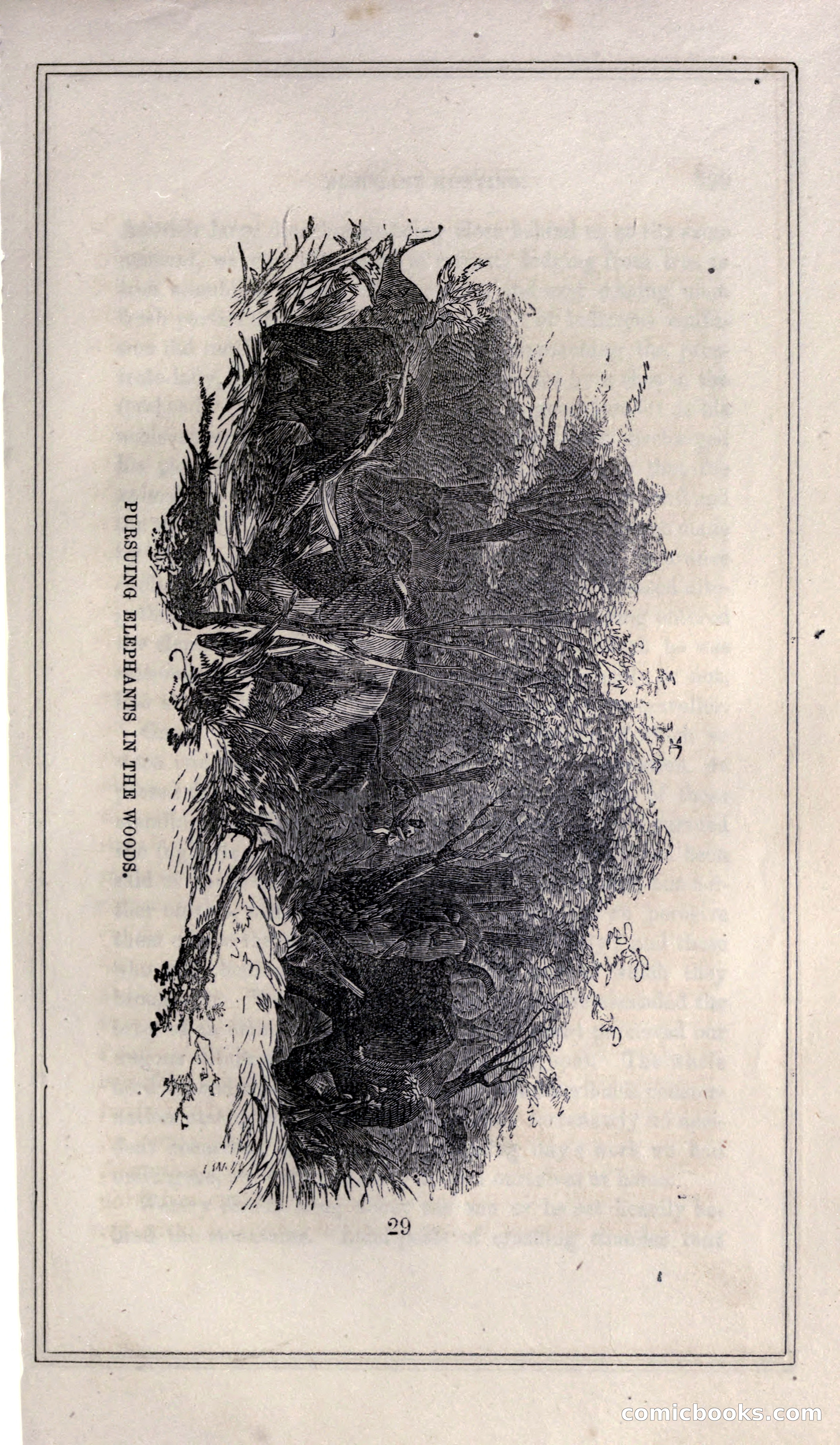 Thrilling Adventures of Hunters, in the Old World and the New — page 357 of 399