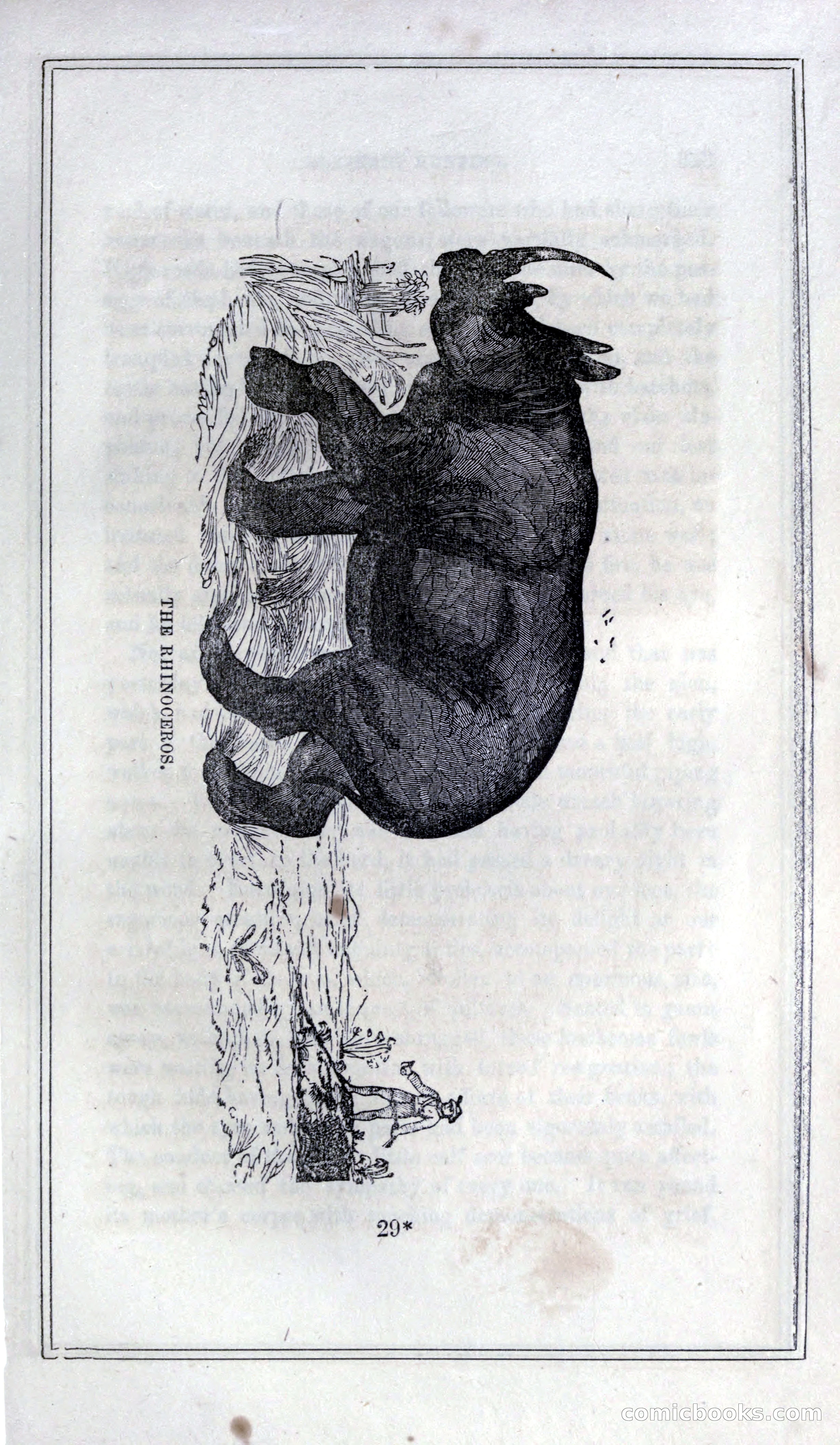 Thrilling Adventures of Hunters, in the Old World and the New — page 361 of 399