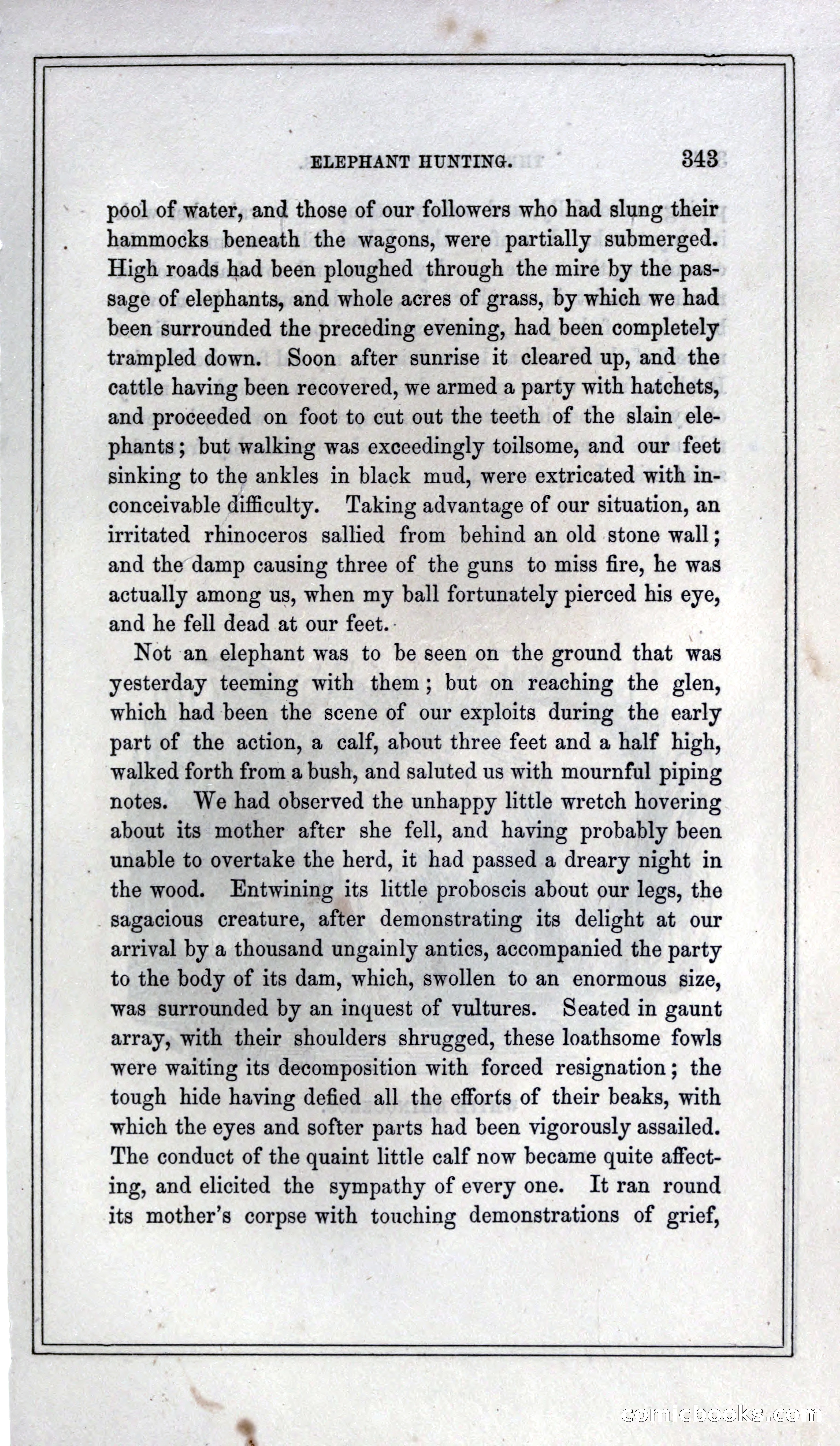 Thrilling Adventures of Hunters, in the Old World and the New — page 363 of 399