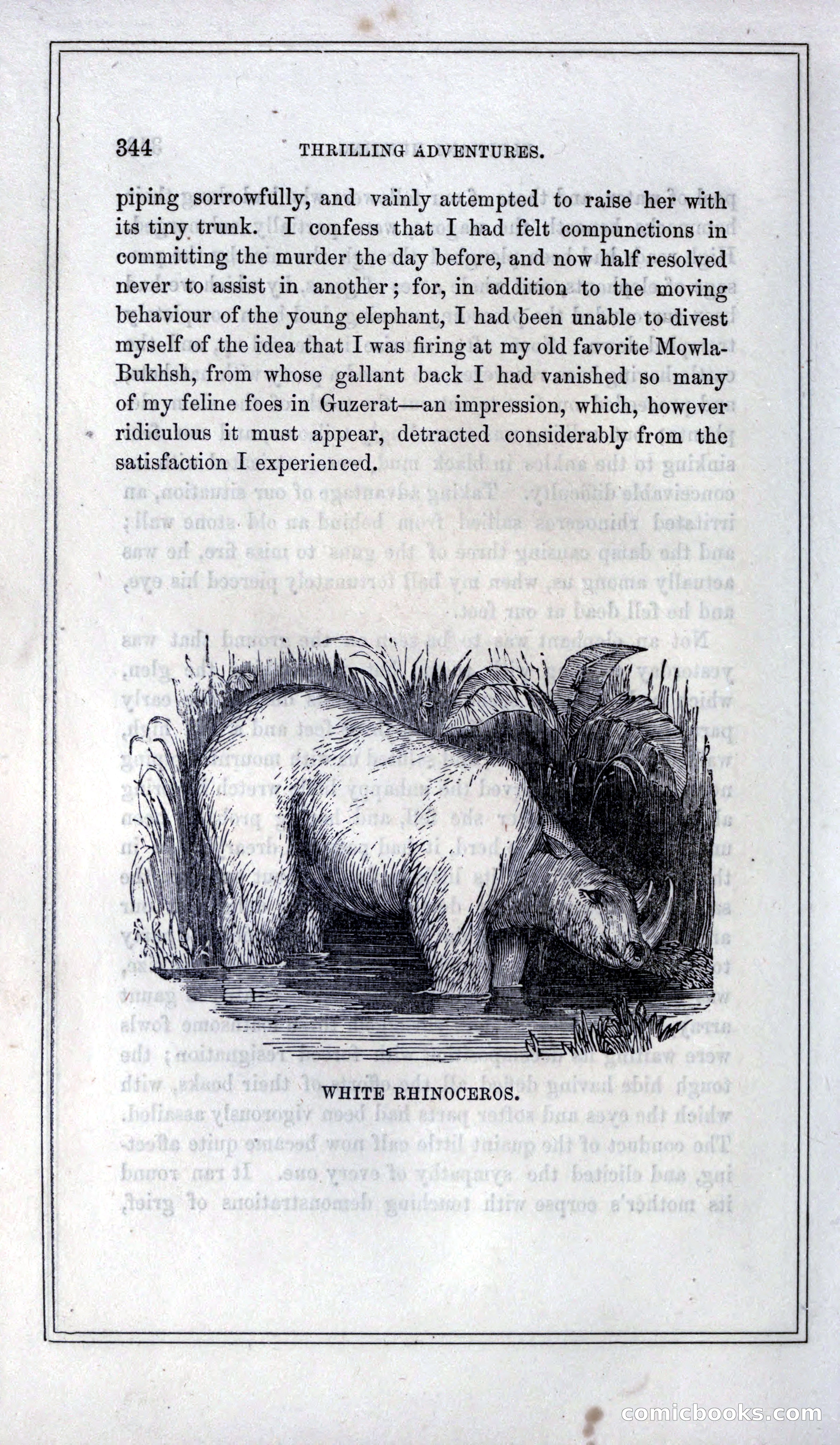 Thrilling Adventures of Hunters, in the Old World and the New — page 364 of 399
