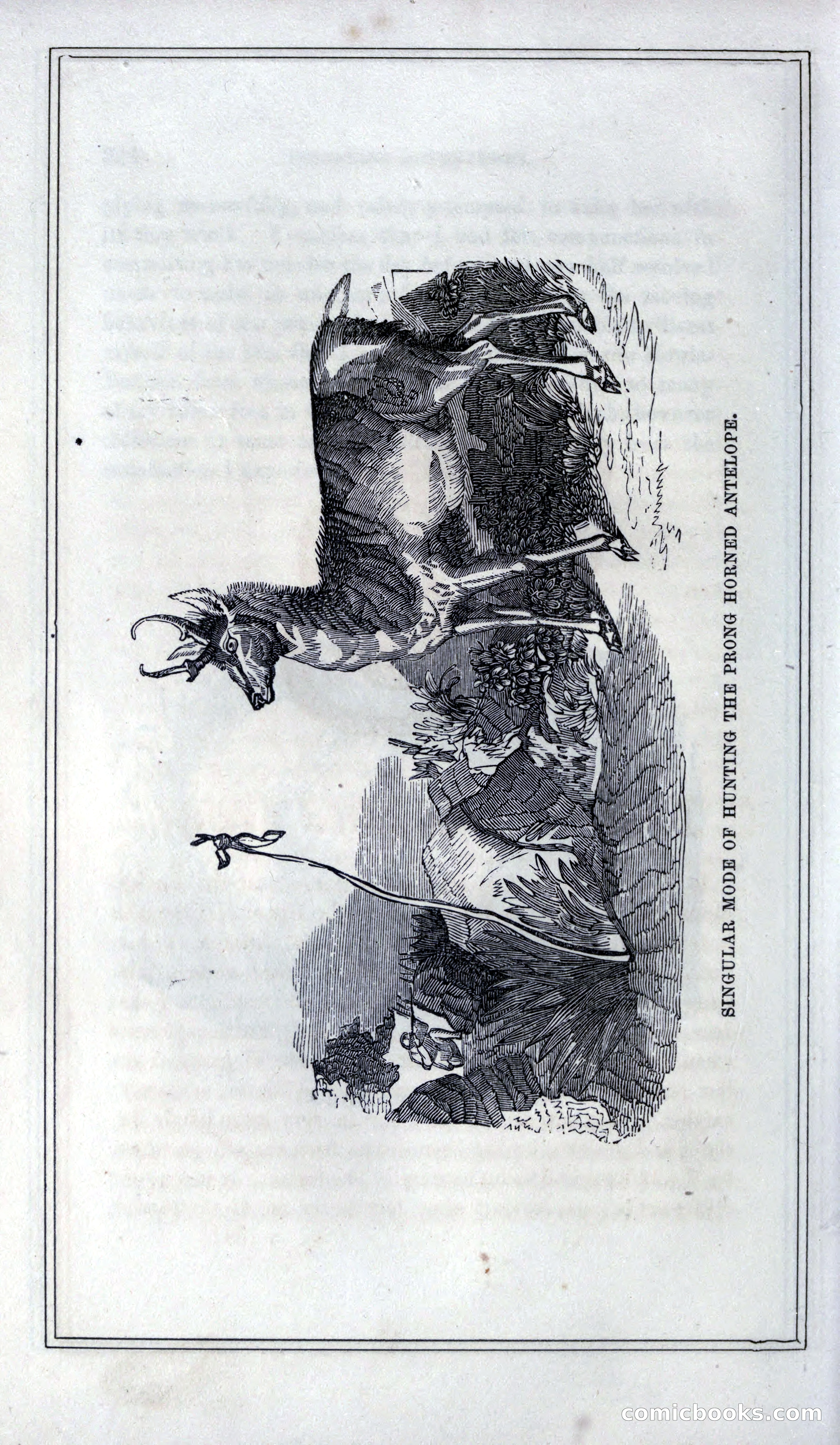 Thrilling Adventures of Hunters, in the Old World and the New — page 366 of 399