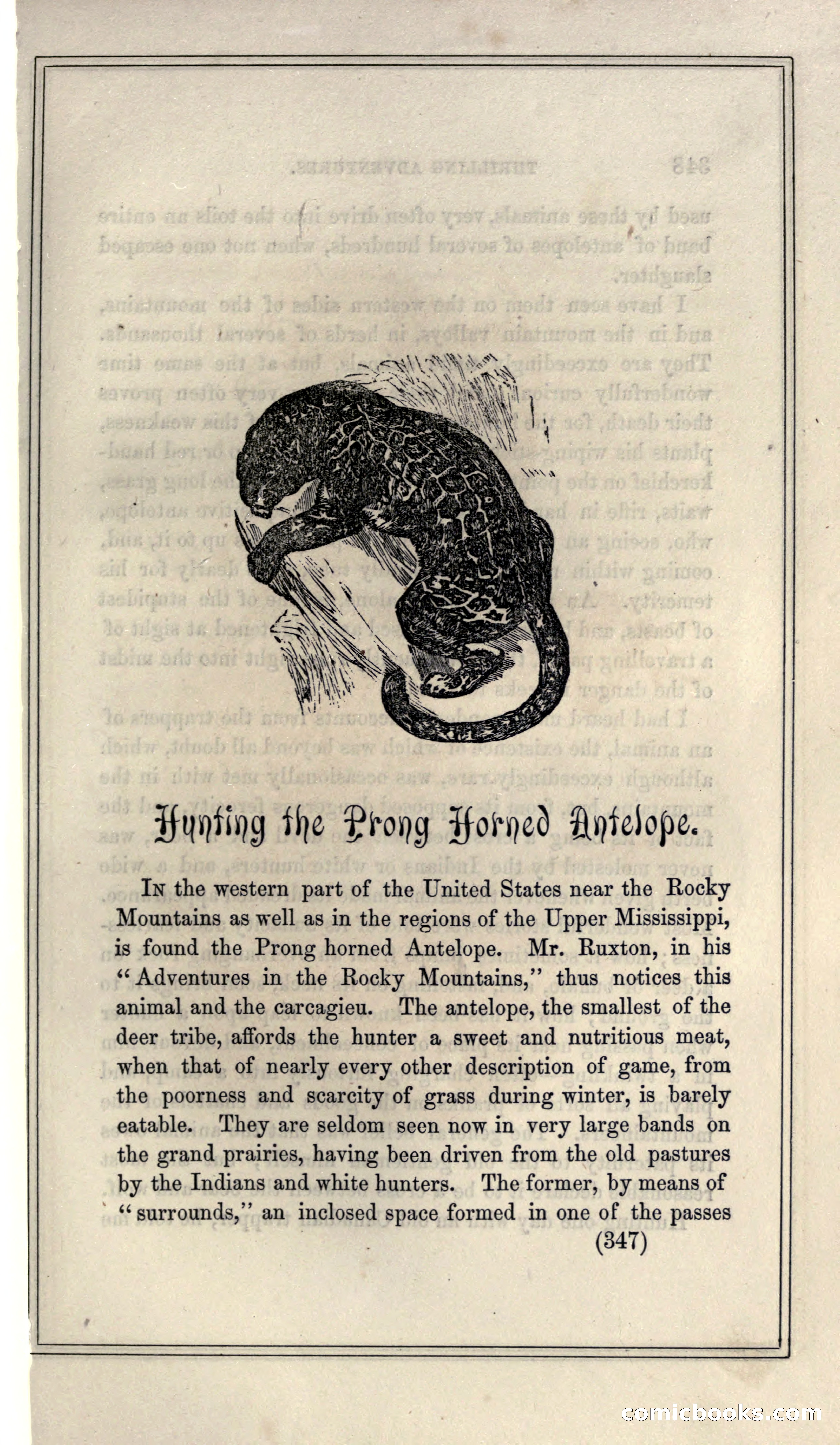 Thrilling Adventures of Hunters, in the Old World and the New — page 367 of 399
