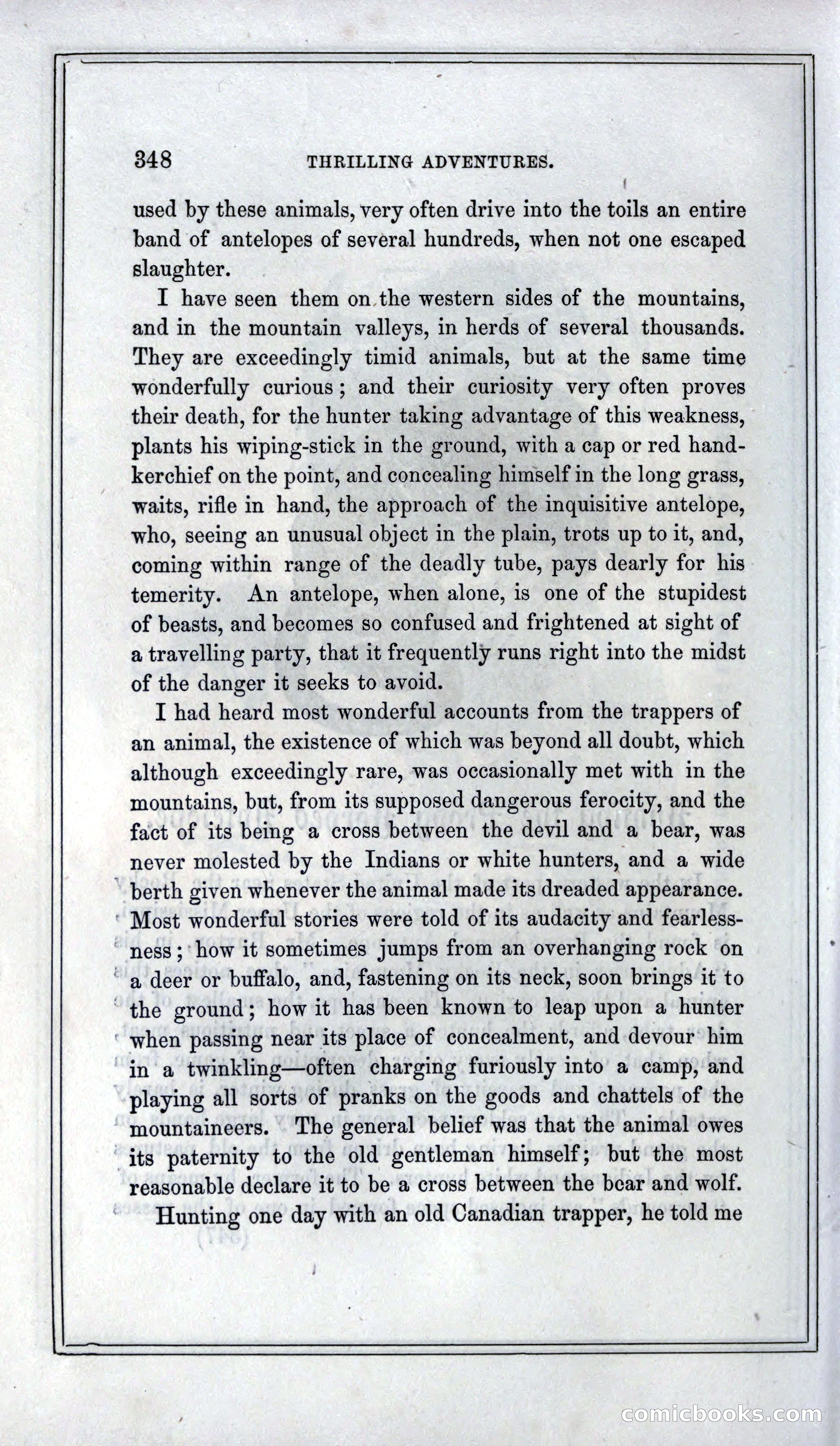 Thrilling Adventures of Hunters, in the Old World and the New — page 368 of 399