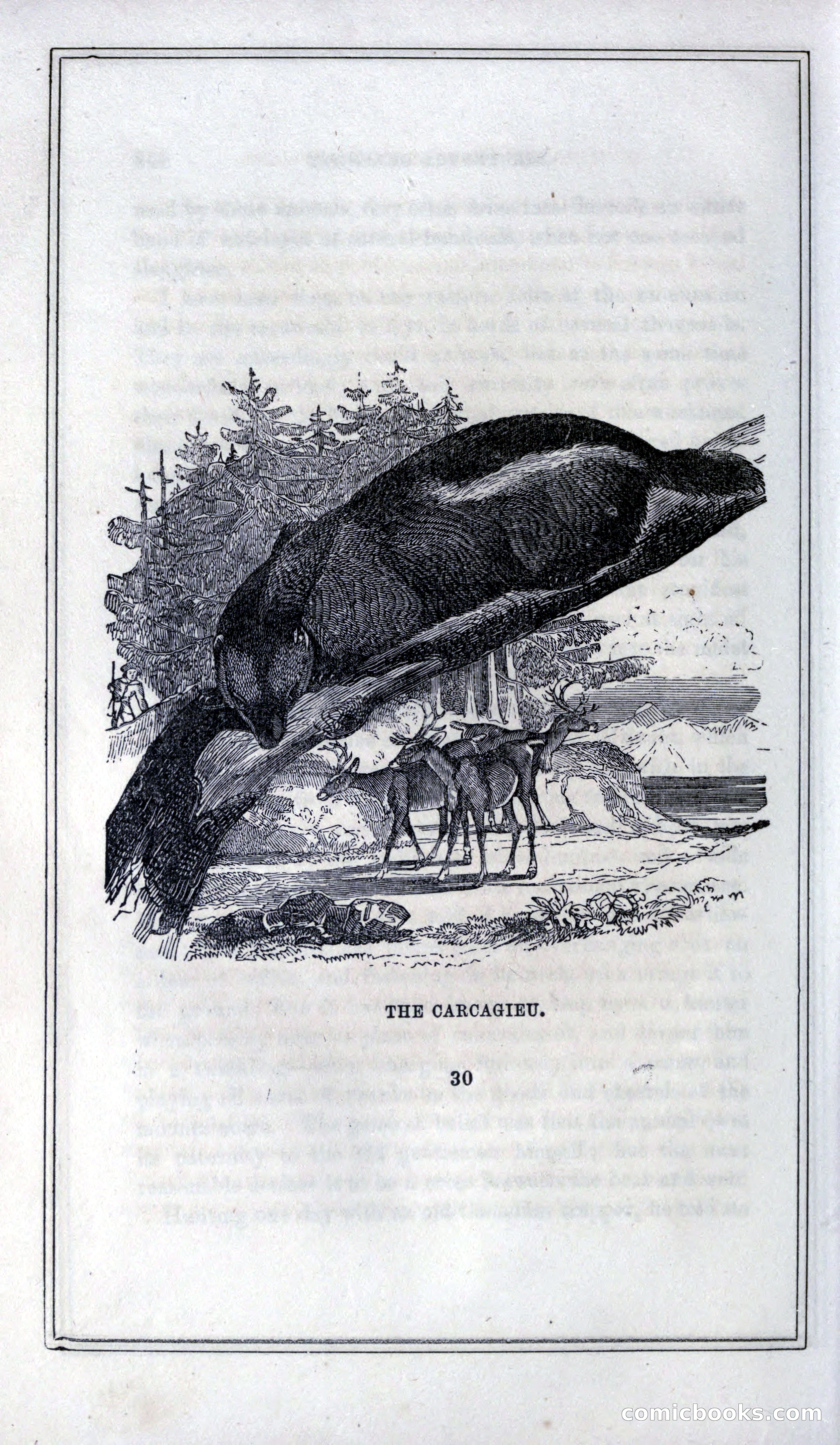 Thrilling Adventures of Hunters, in the Old World and the New — page 370 of 399