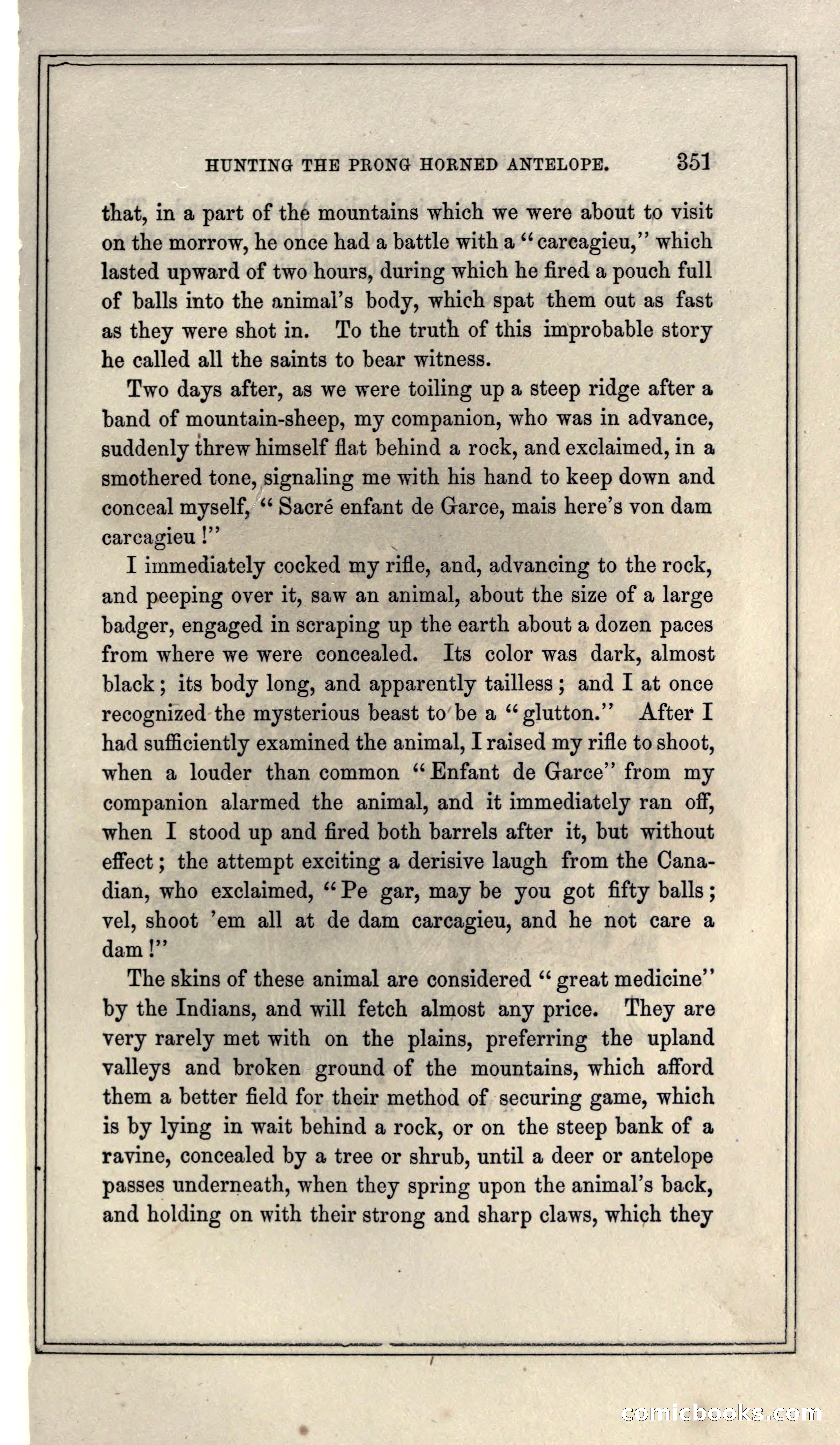 Thrilling Adventures of Hunters, in the Old World and the New — page 371 of 399