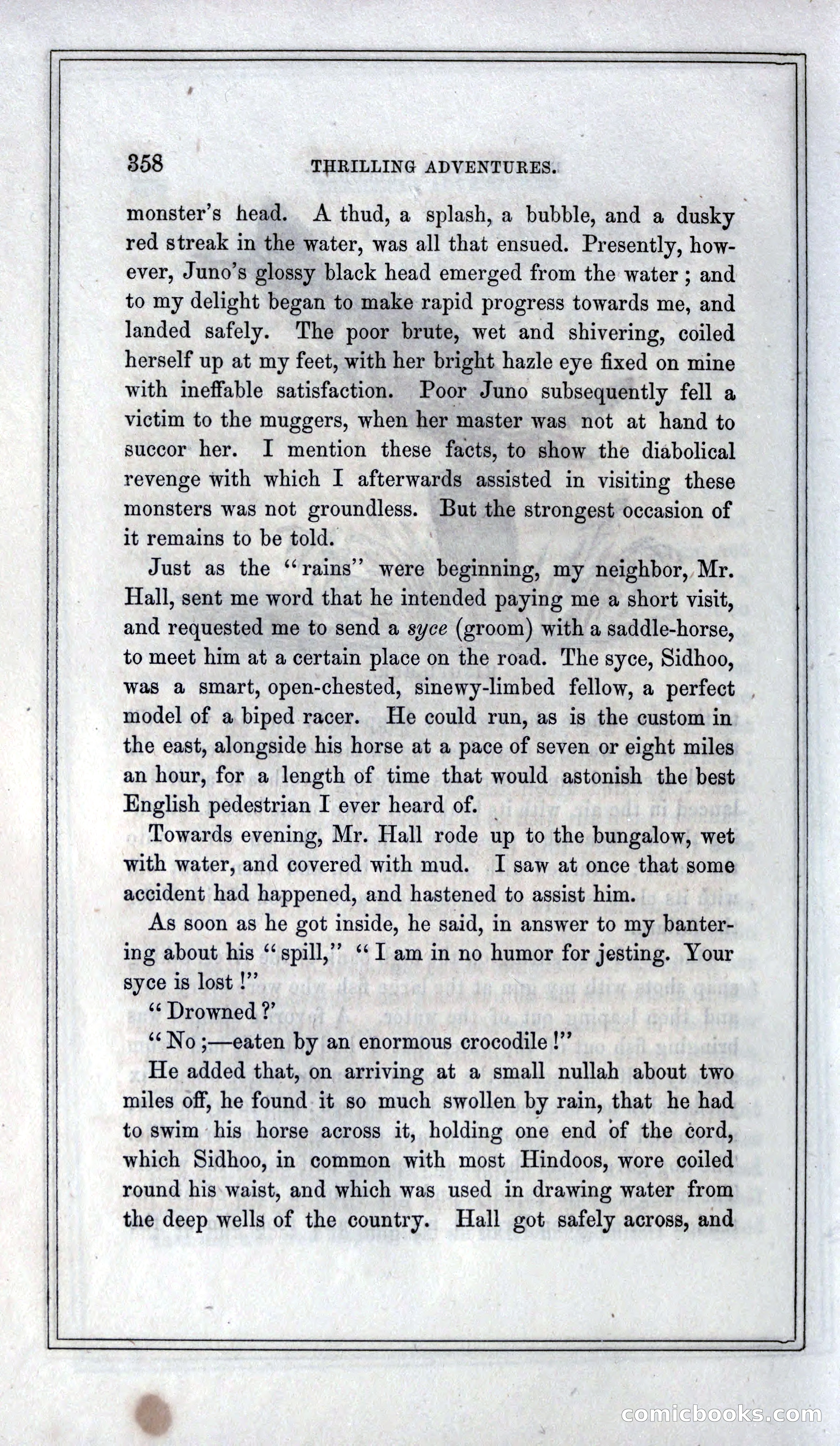 Thrilling Adventures of Hunters, in the Old World and the New — page 378 of 399