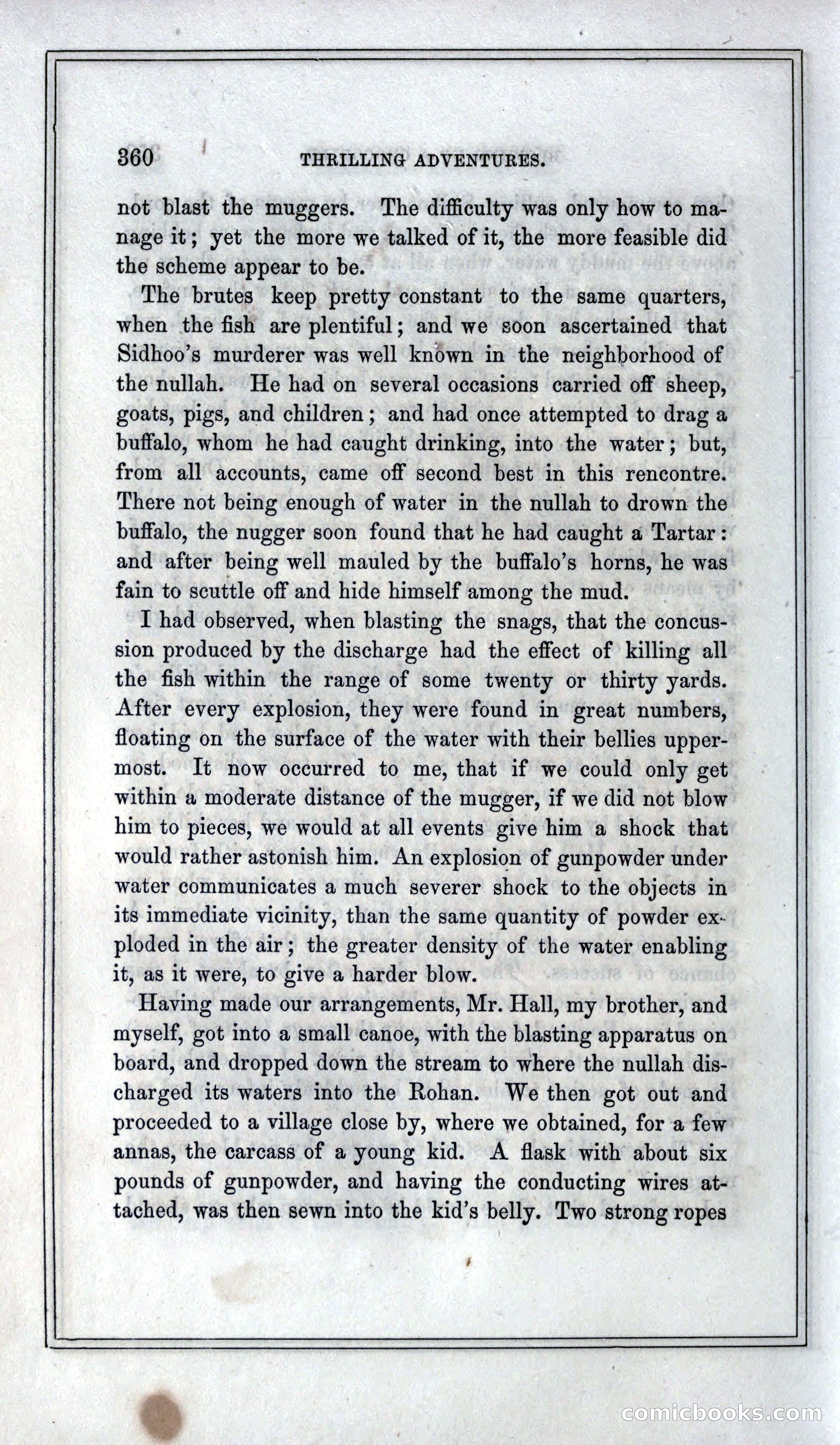 Thrilling Adventures of Hunters, in the Old World and the New — page 380 of 399