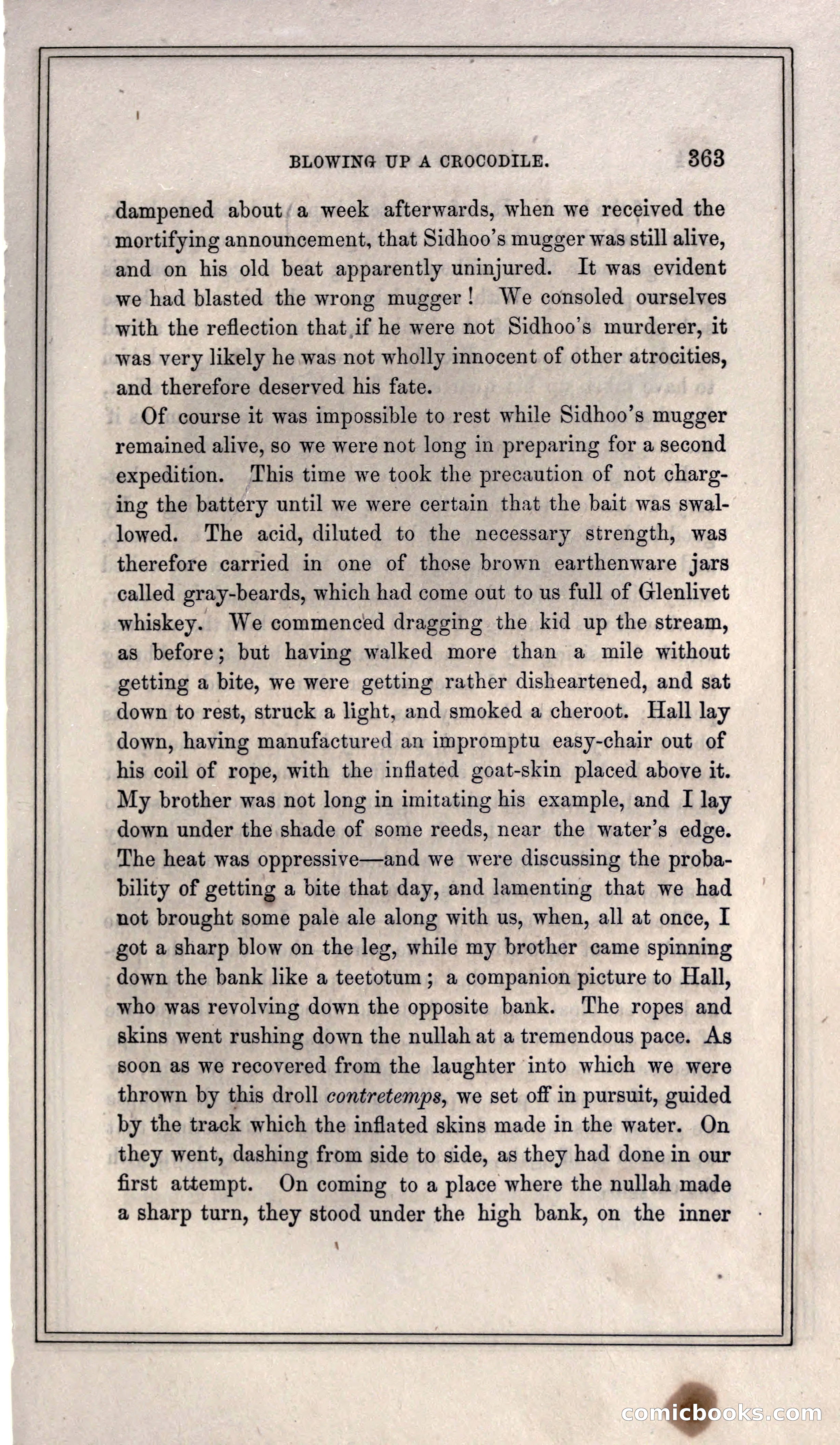 Thrilling Adventures of Hunters, in the Old World and the New — page 383 of 399