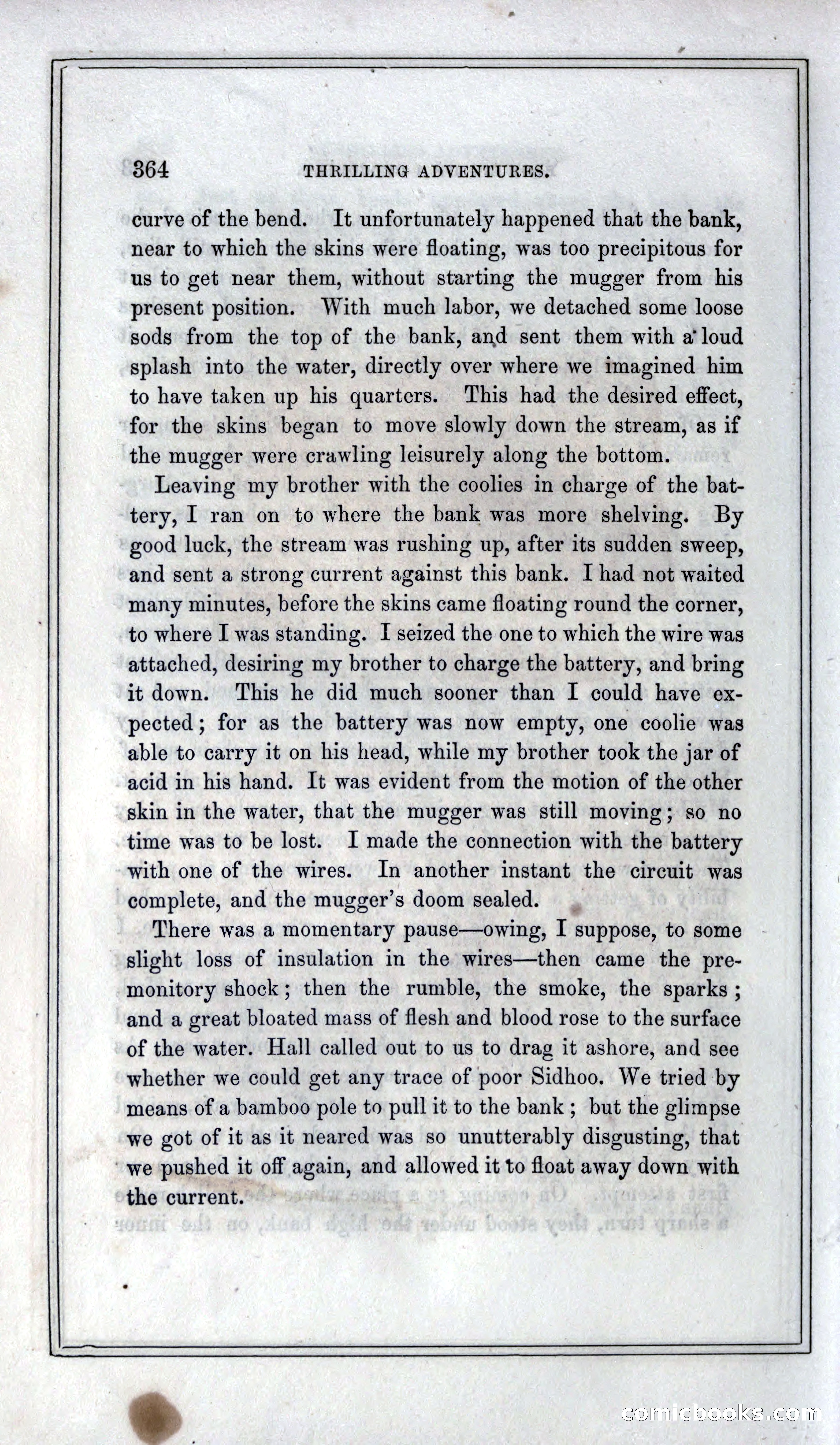 Thrilling Adventures of Hunters, in the Old World and the New — page 384 of 399