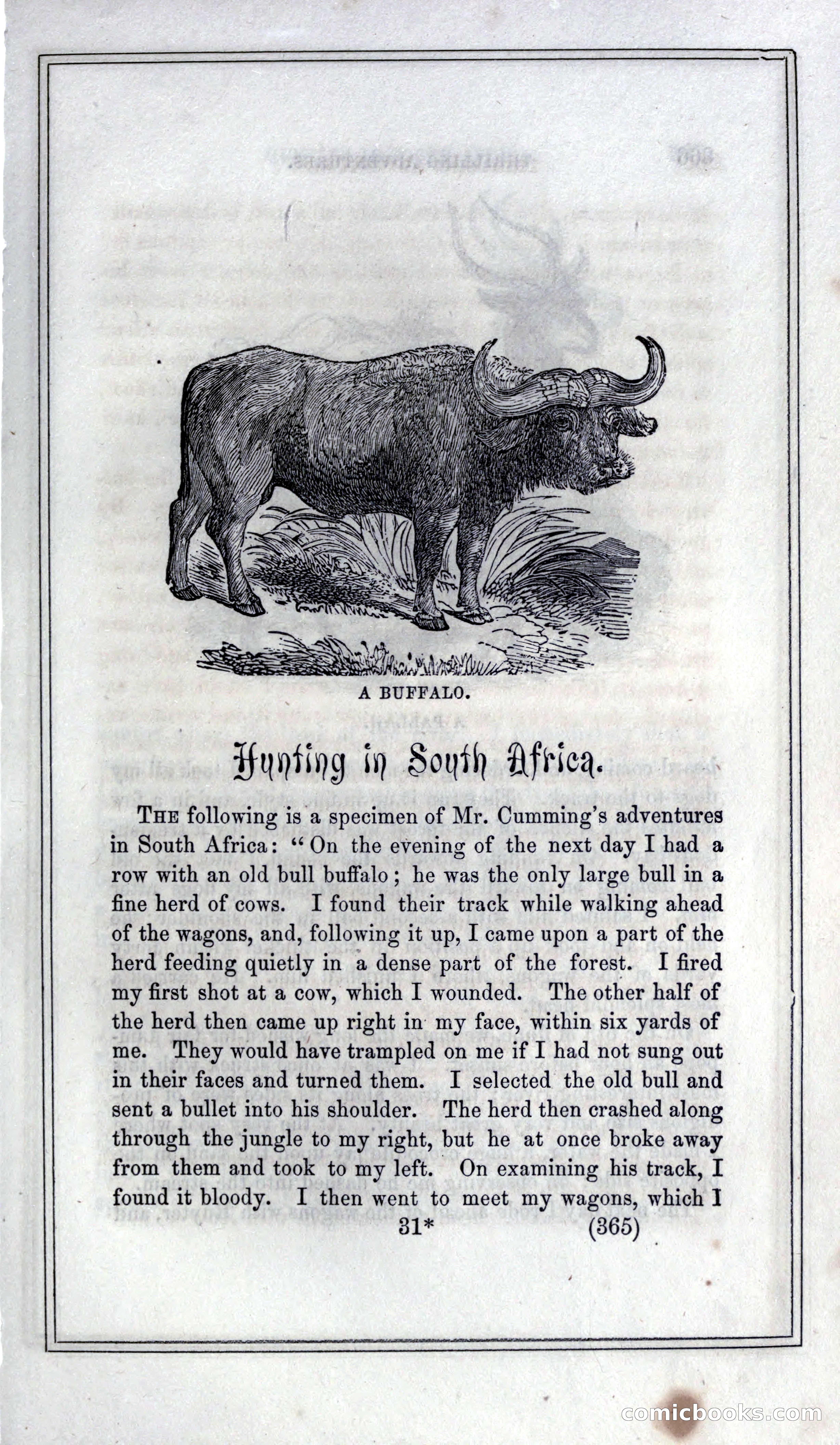 Thrilling Adventures of Hunters, in the Old World and the New — page 385 of 399