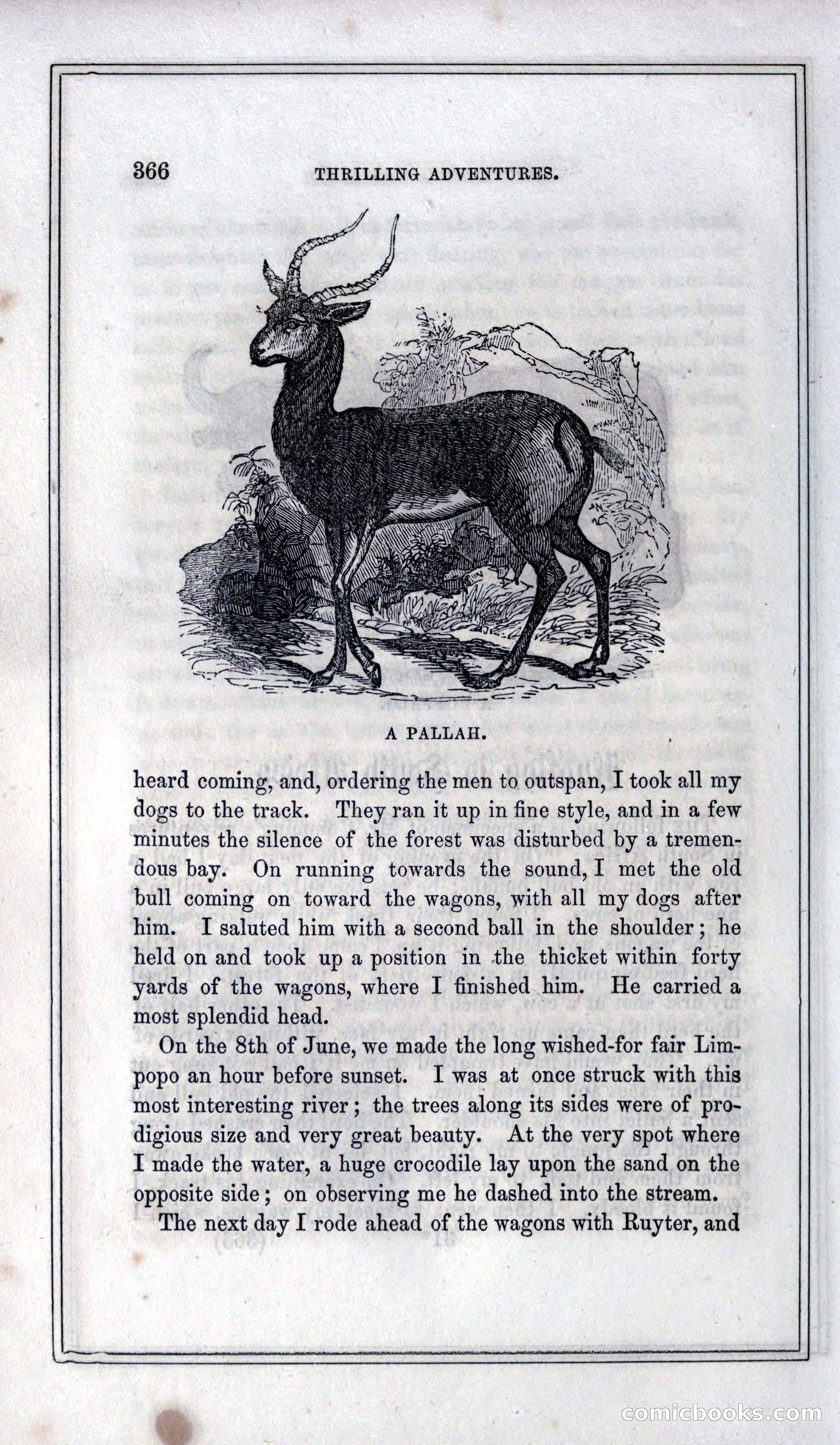 Thrilling Adventures of Hunters, in the Old World and the New — page 386 of 399
