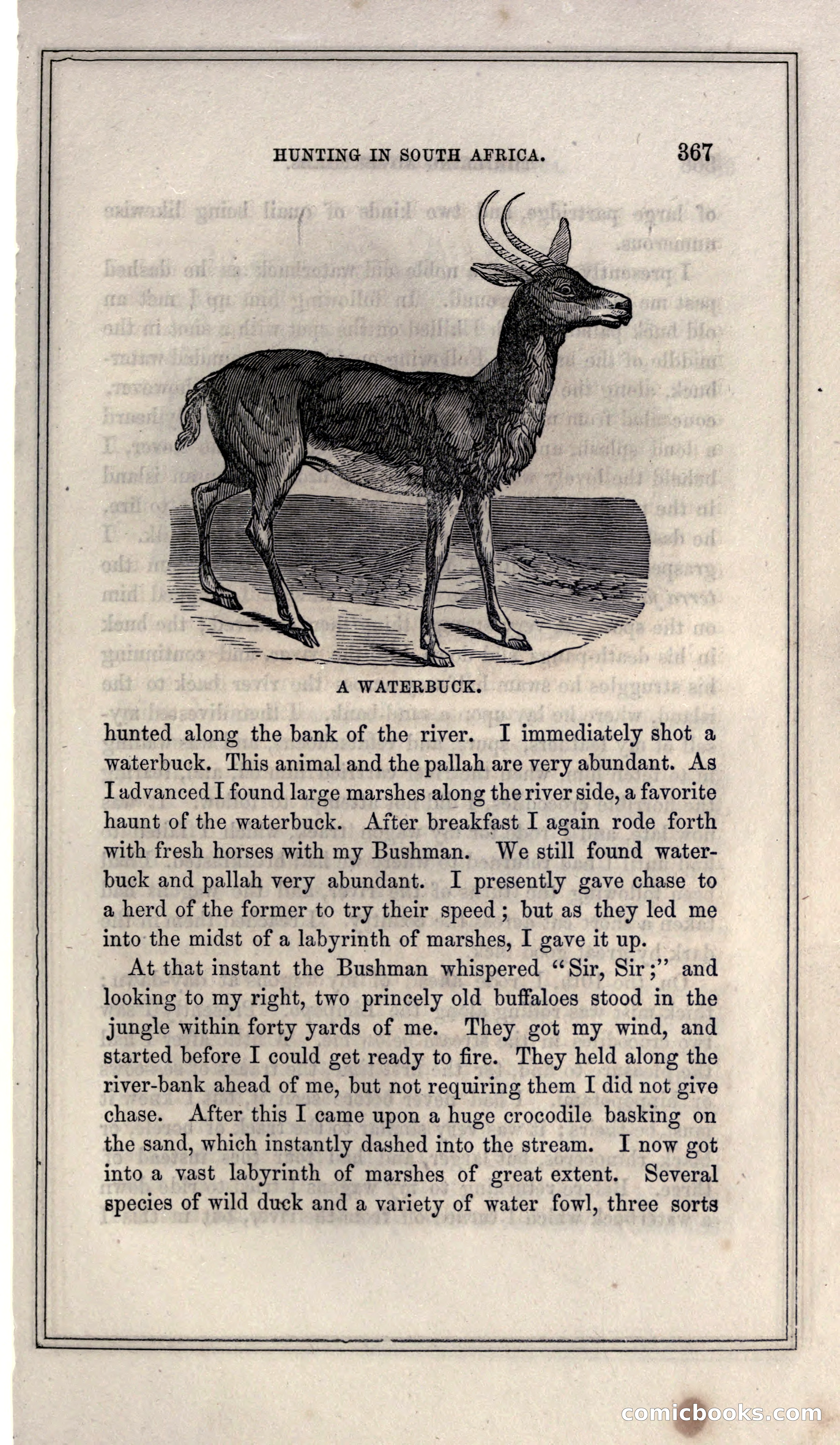 Thrilling Adventures of Hunters, in the Old World and the New — page 387 of 399