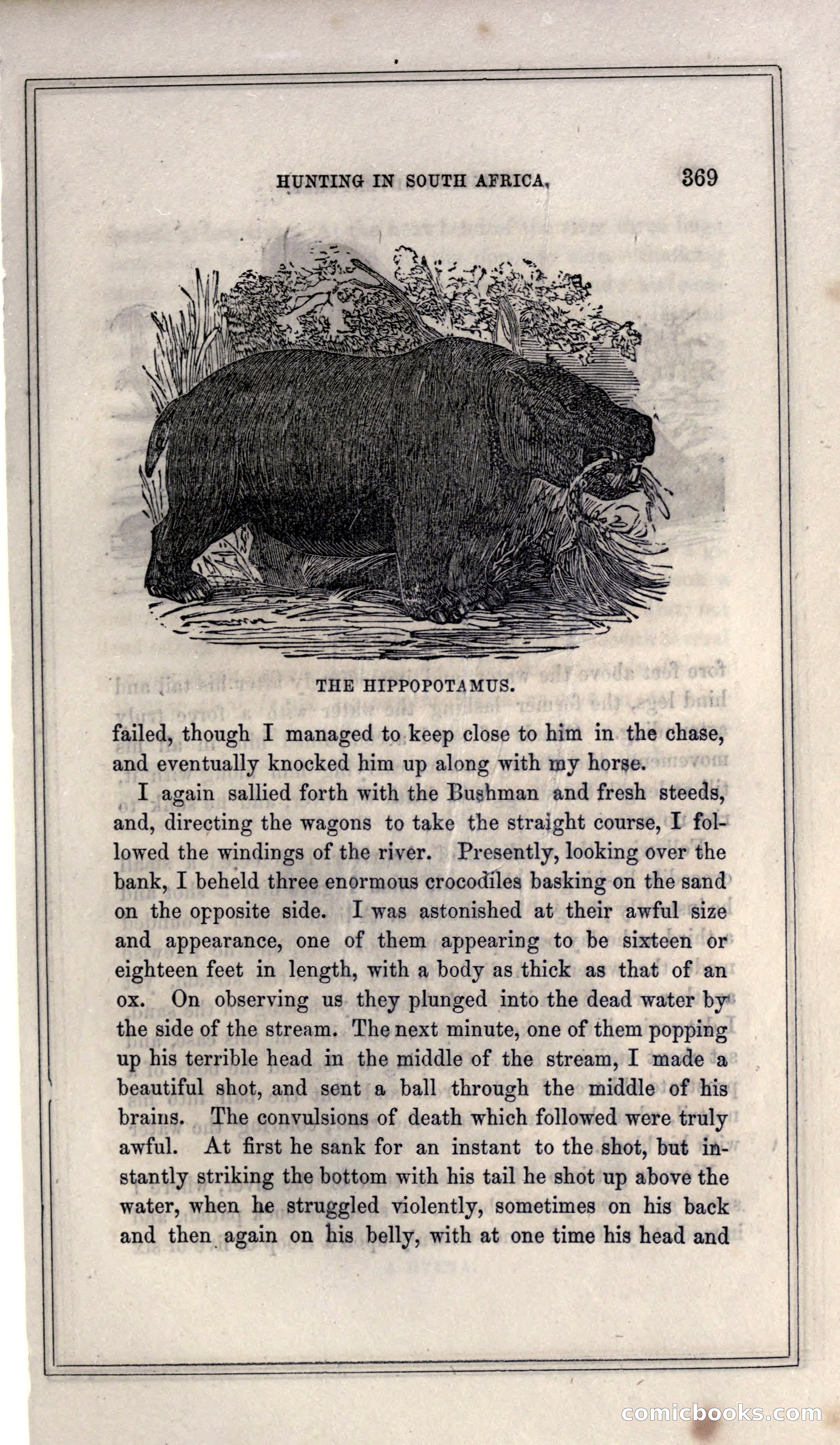 Thrilling Adventures of Hunters, in the Old World and the New — page 389 of 399