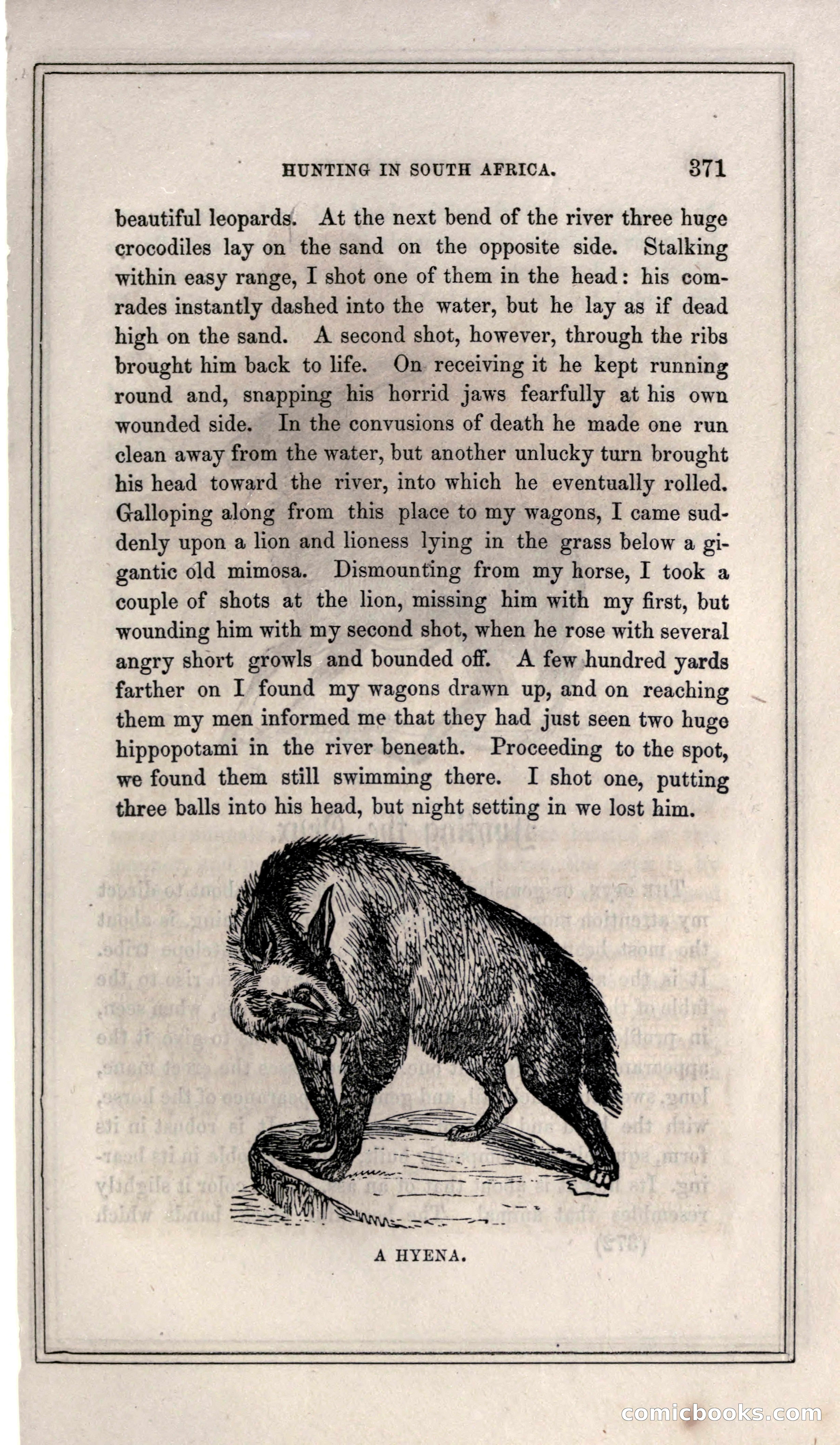 Thrilling Adventures of Hunters, in the Old World and the New — page 391 of 399